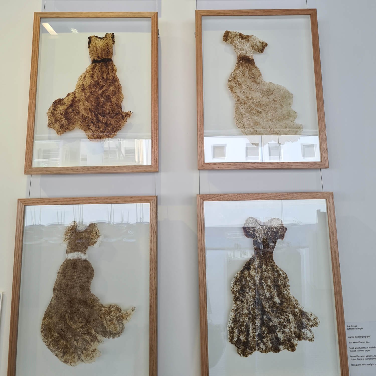 seaweed paper artworks by Catherine Stringer