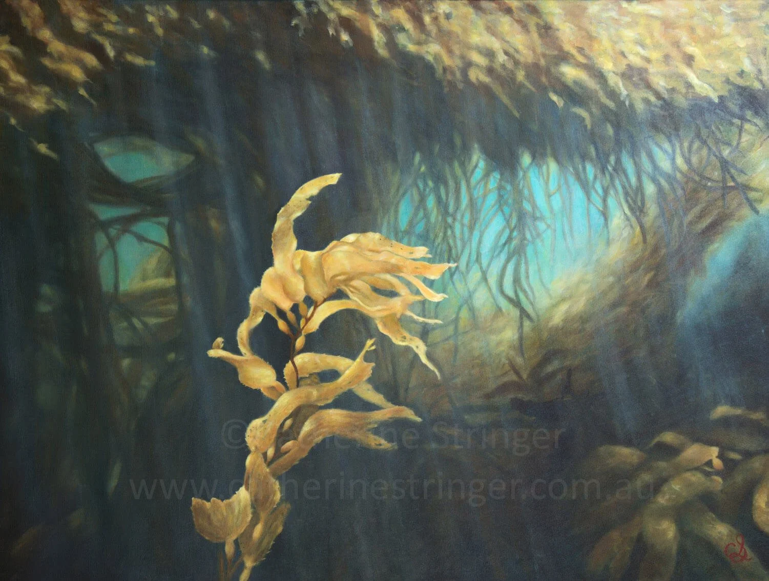 Kelp Portal