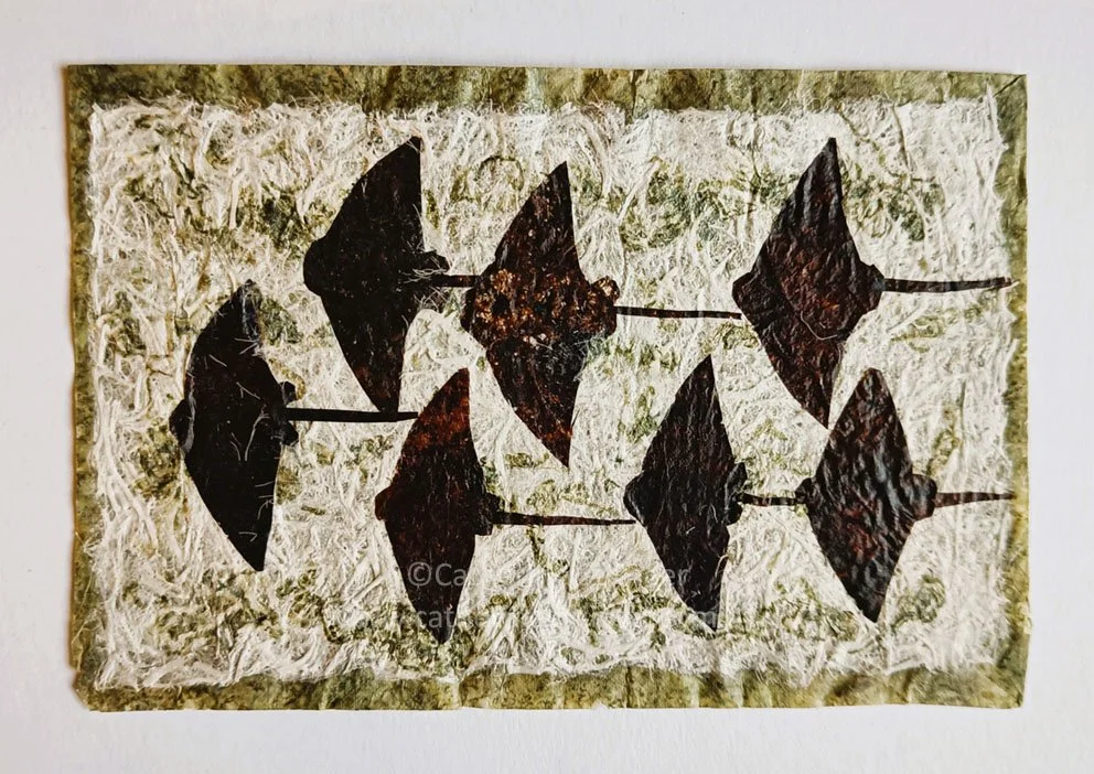 groups of rays swimming