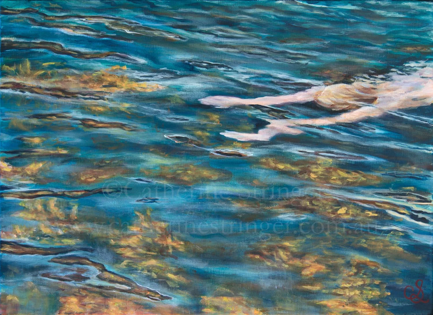 surface view woman swimming through kelp