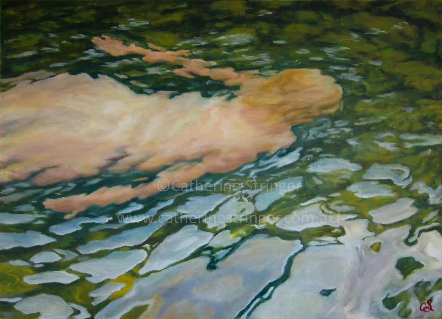 a swimmer gliding through calm clear water