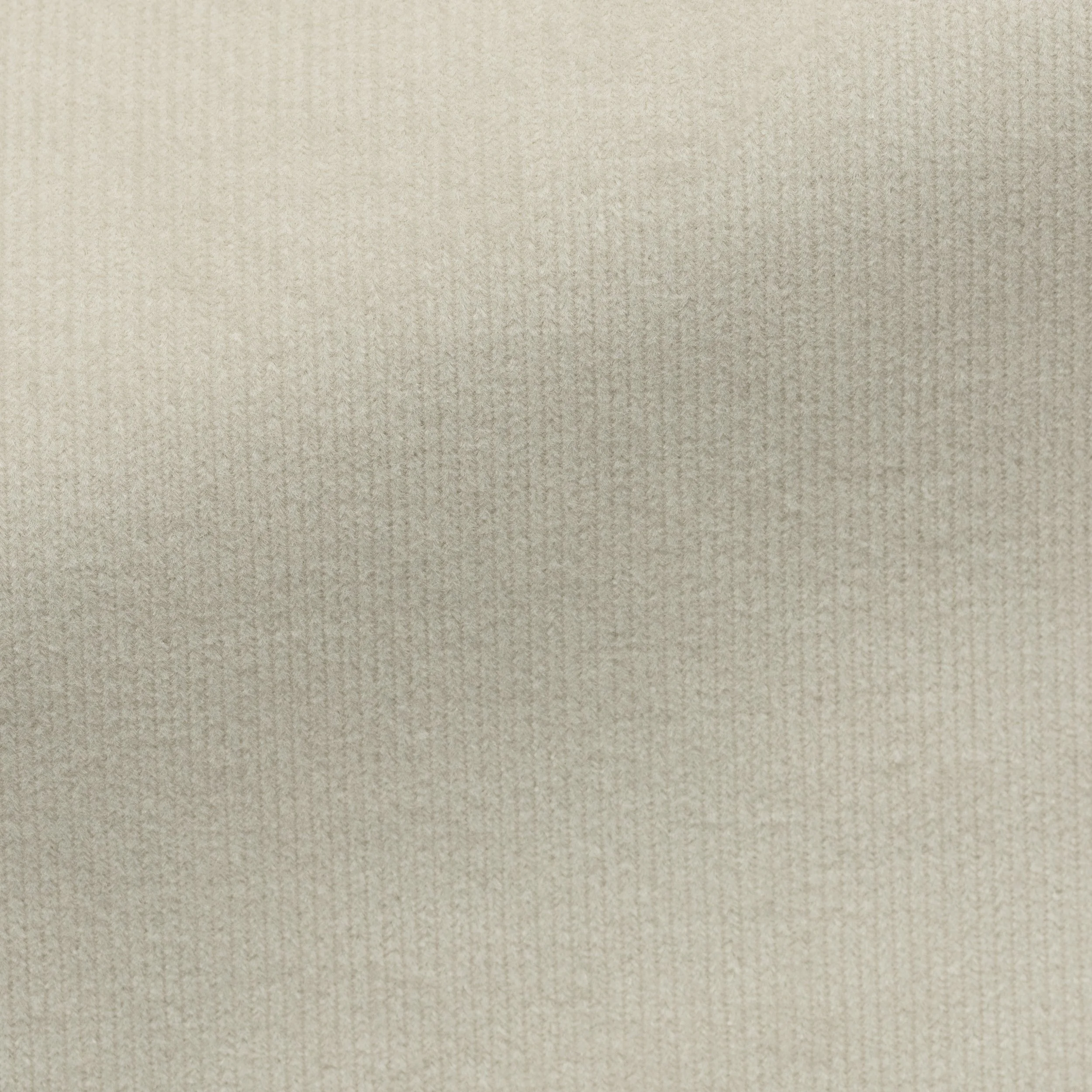 Cotton 041