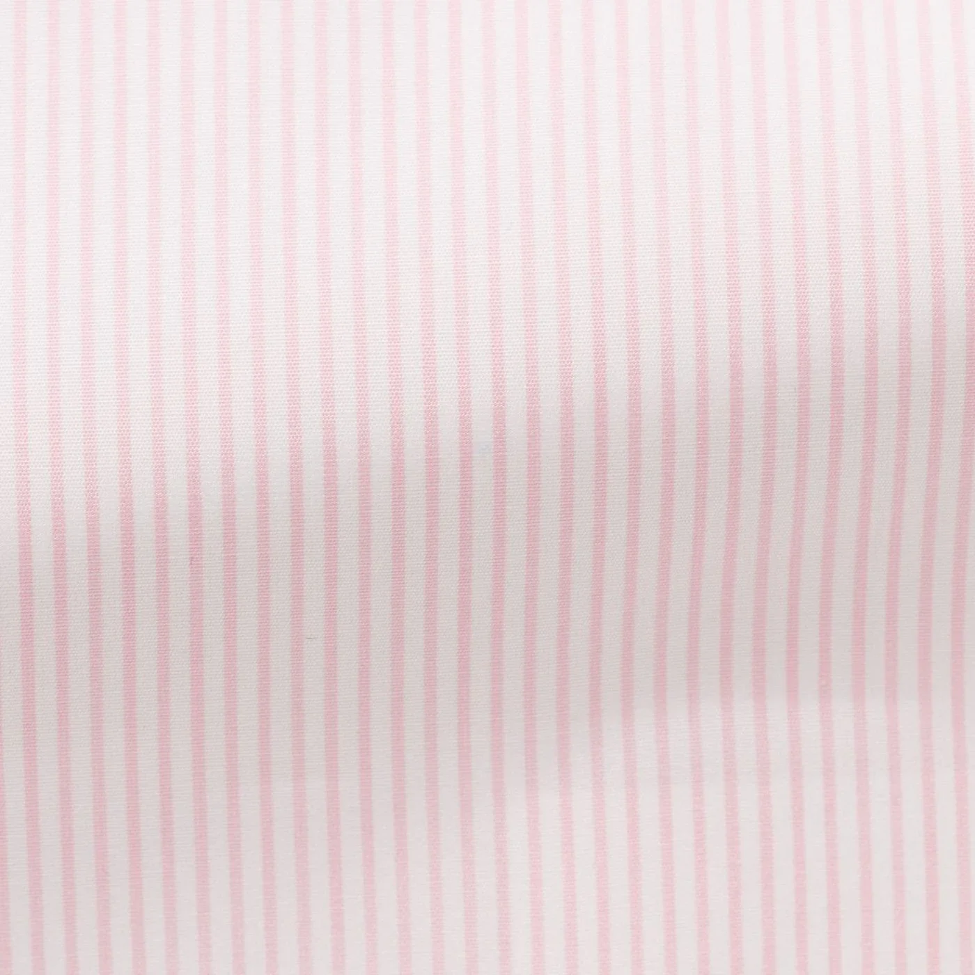 SH00303 white 120/2 cotton poplin with l.pink candy stripe