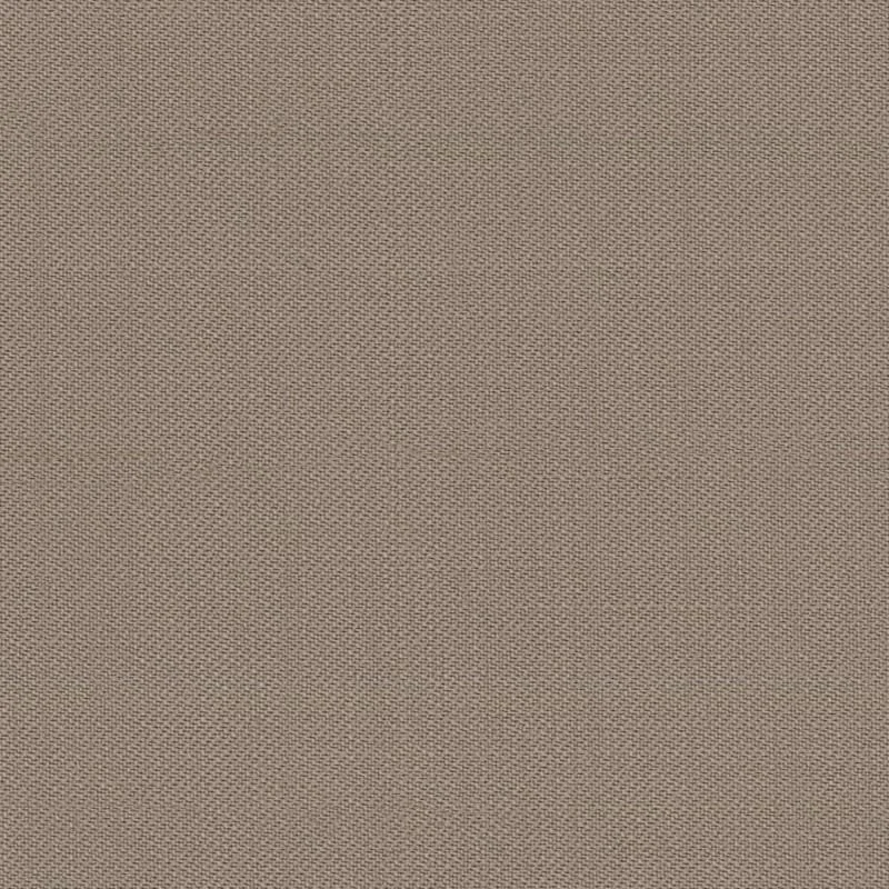 9025503.jpg