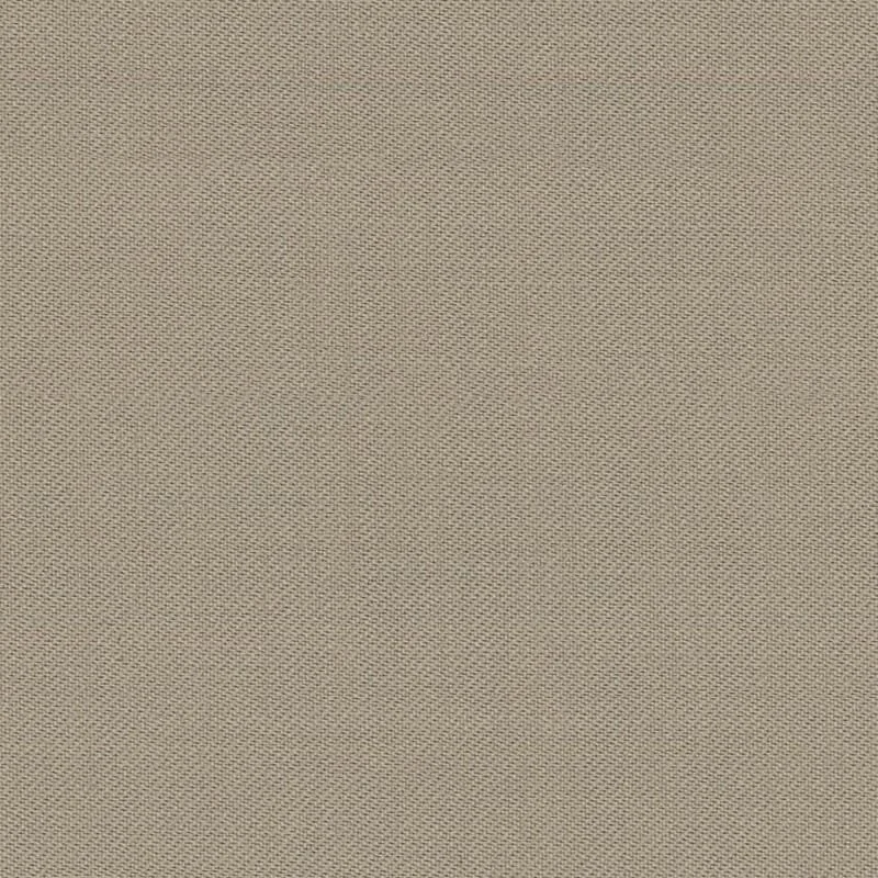 9025506.jpg