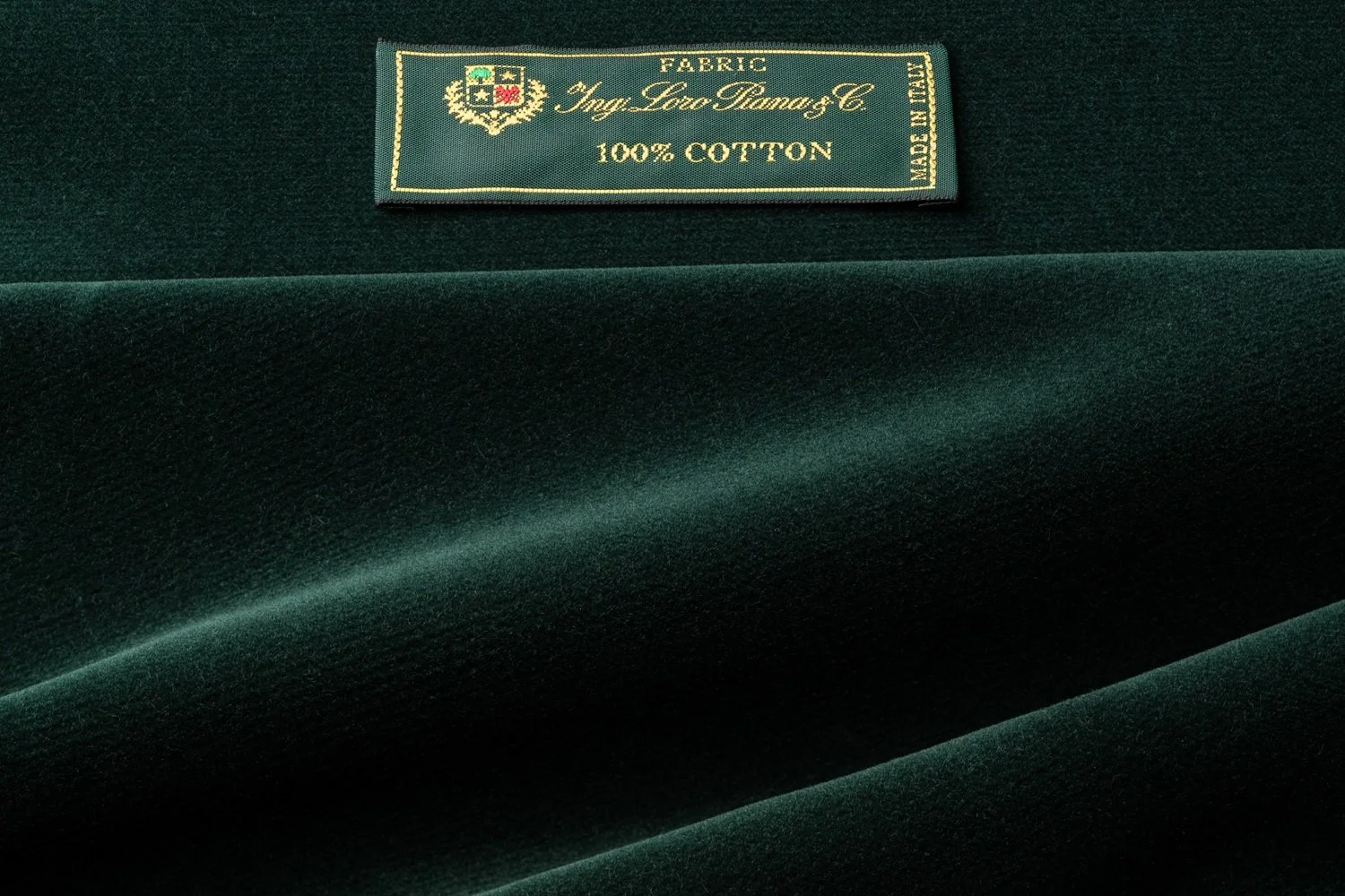 Cotton velvet 5.jpg