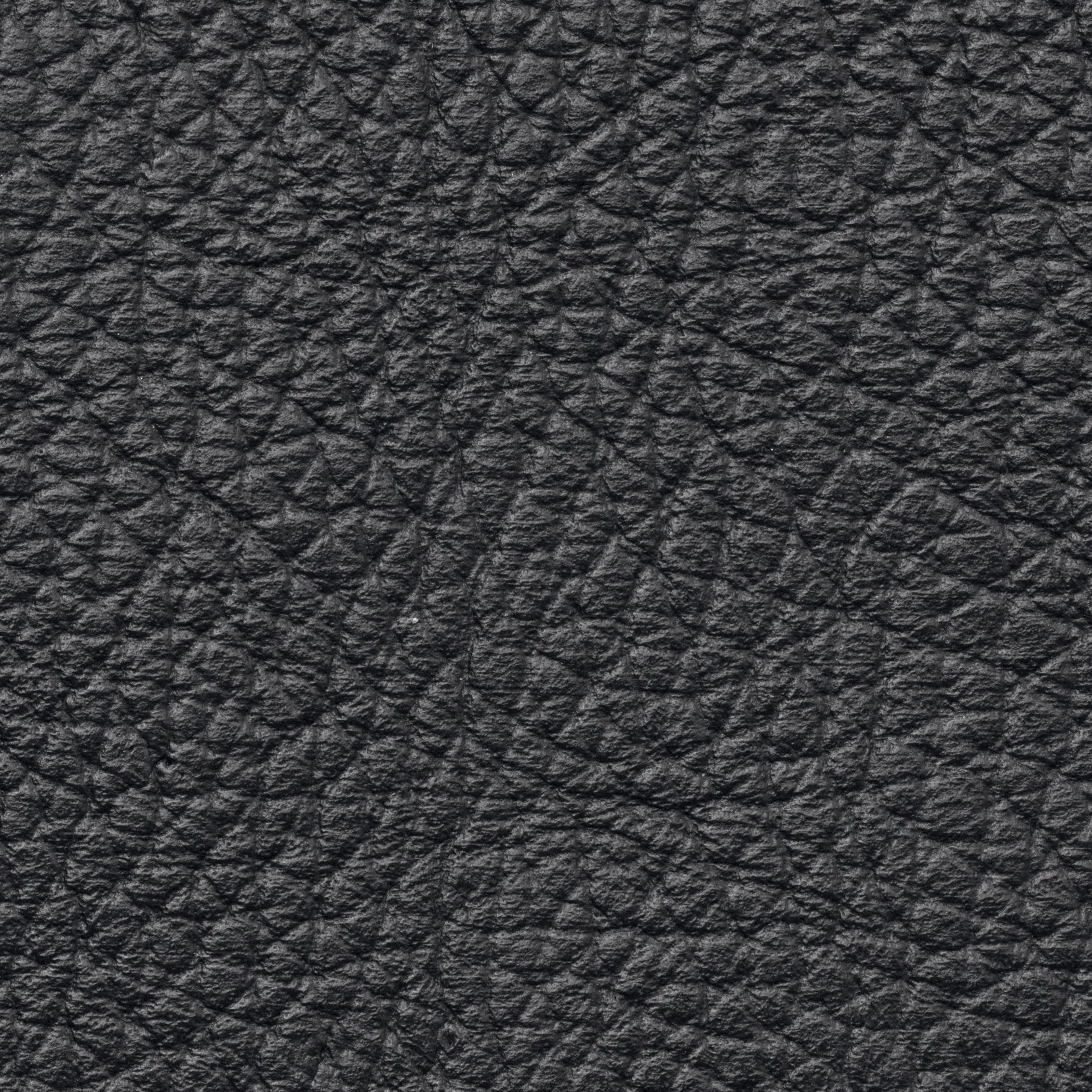 SNG01.jpg