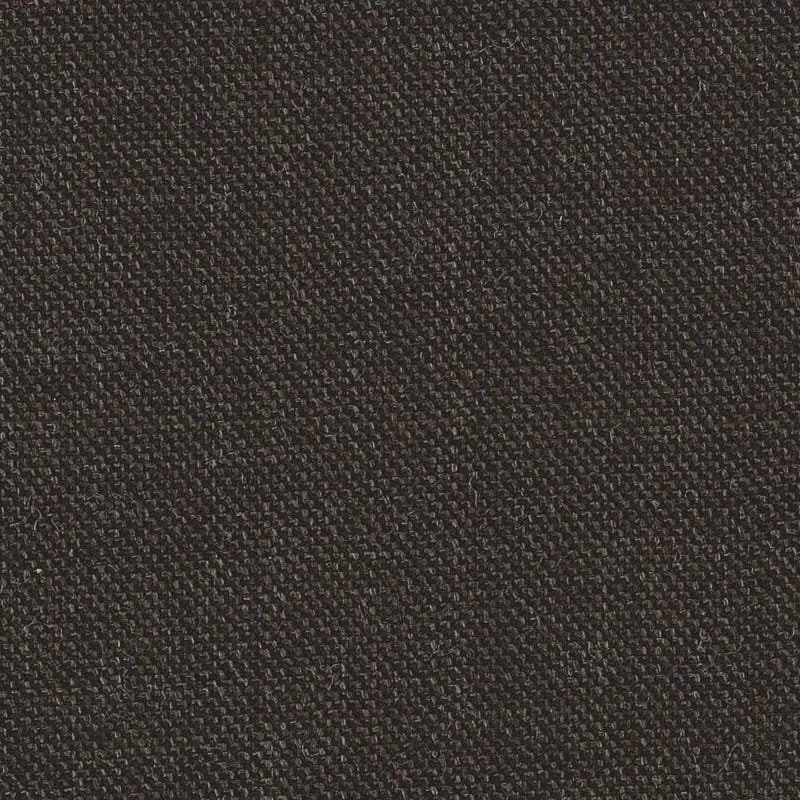 6024063.jpg