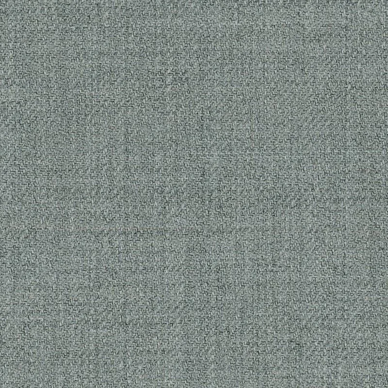 6024081.jpg