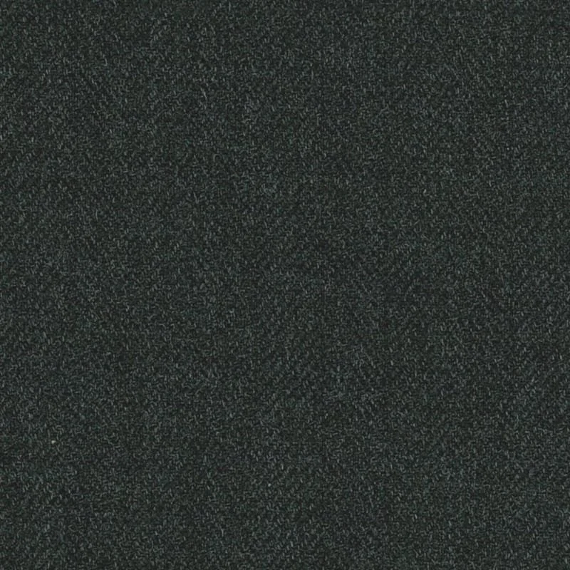 6024070.jpg