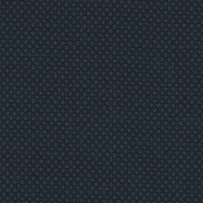 6024038.jpg