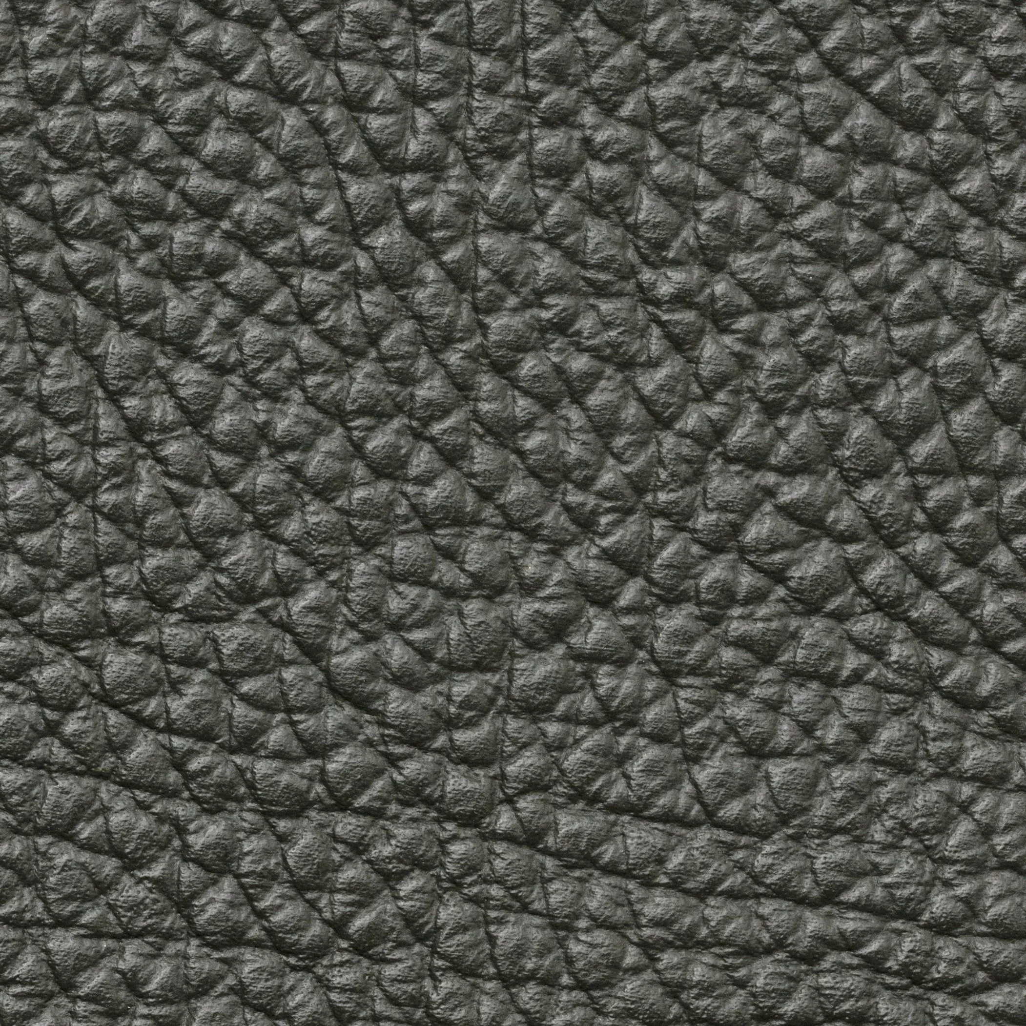 SNG12.jpg