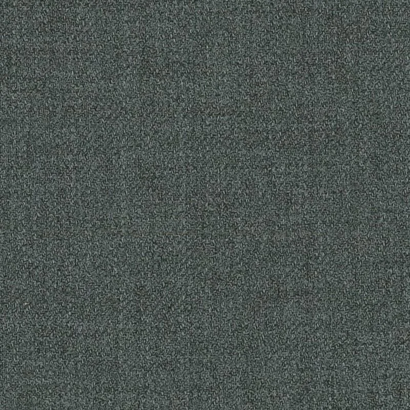 6024080.jpg