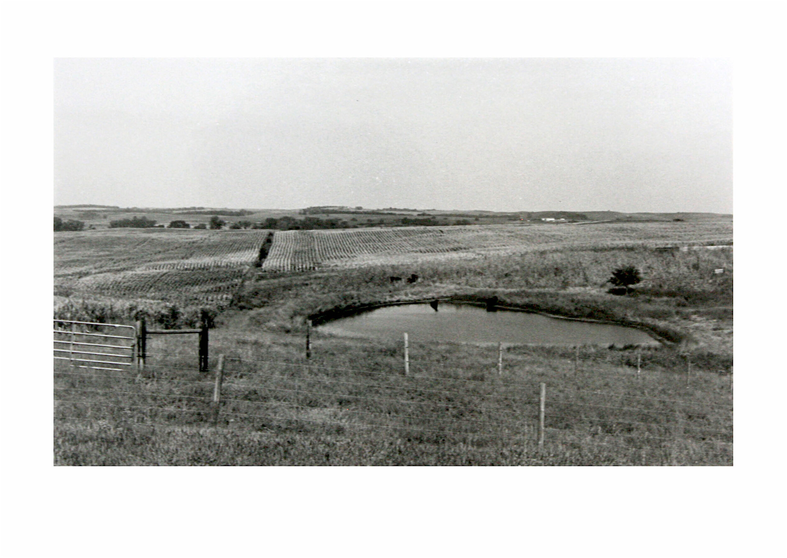 2018, Gelatin silver print