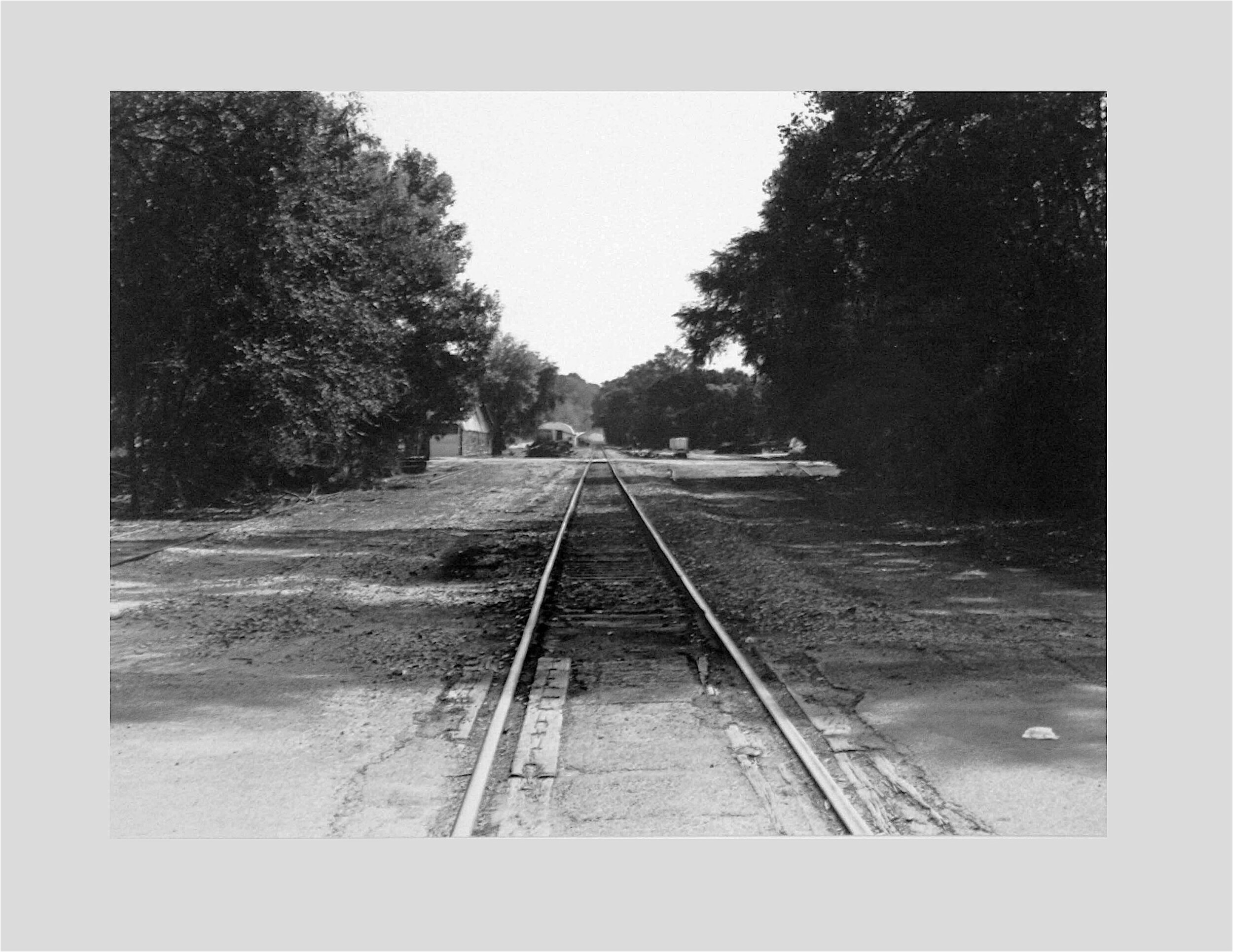 2018, Gelatin silver print