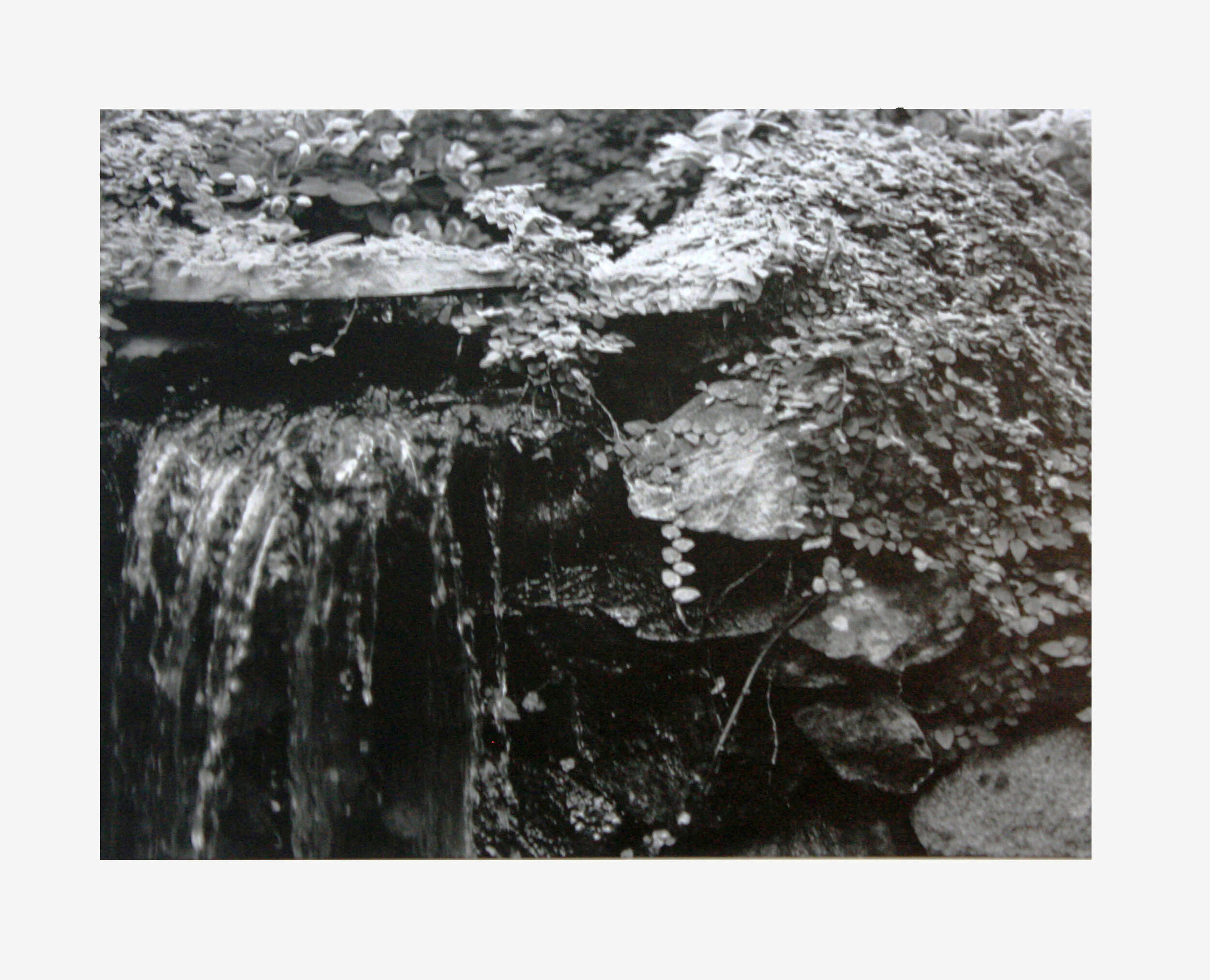 2018, Gelatin silver print