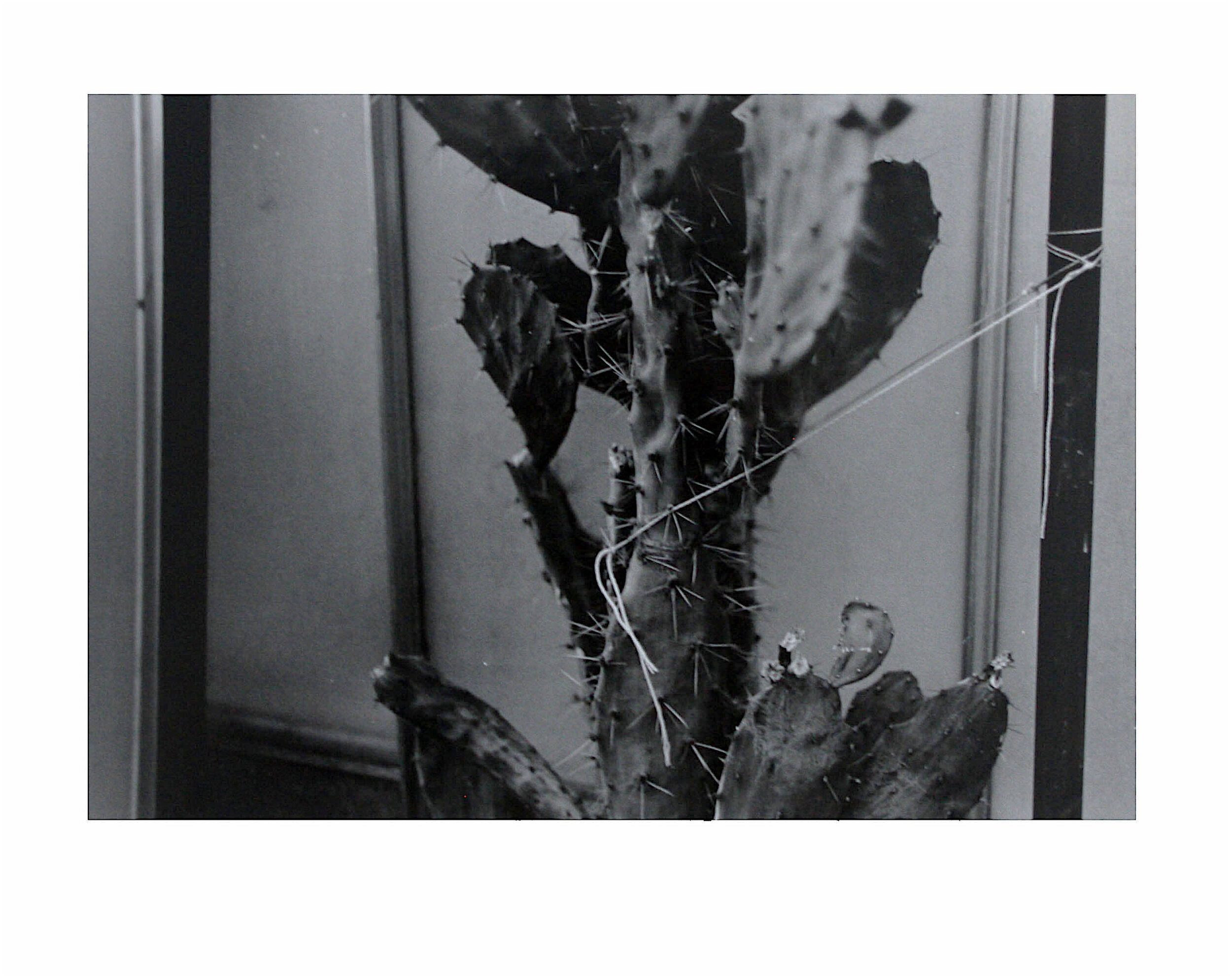 2018, Gelatin silver print