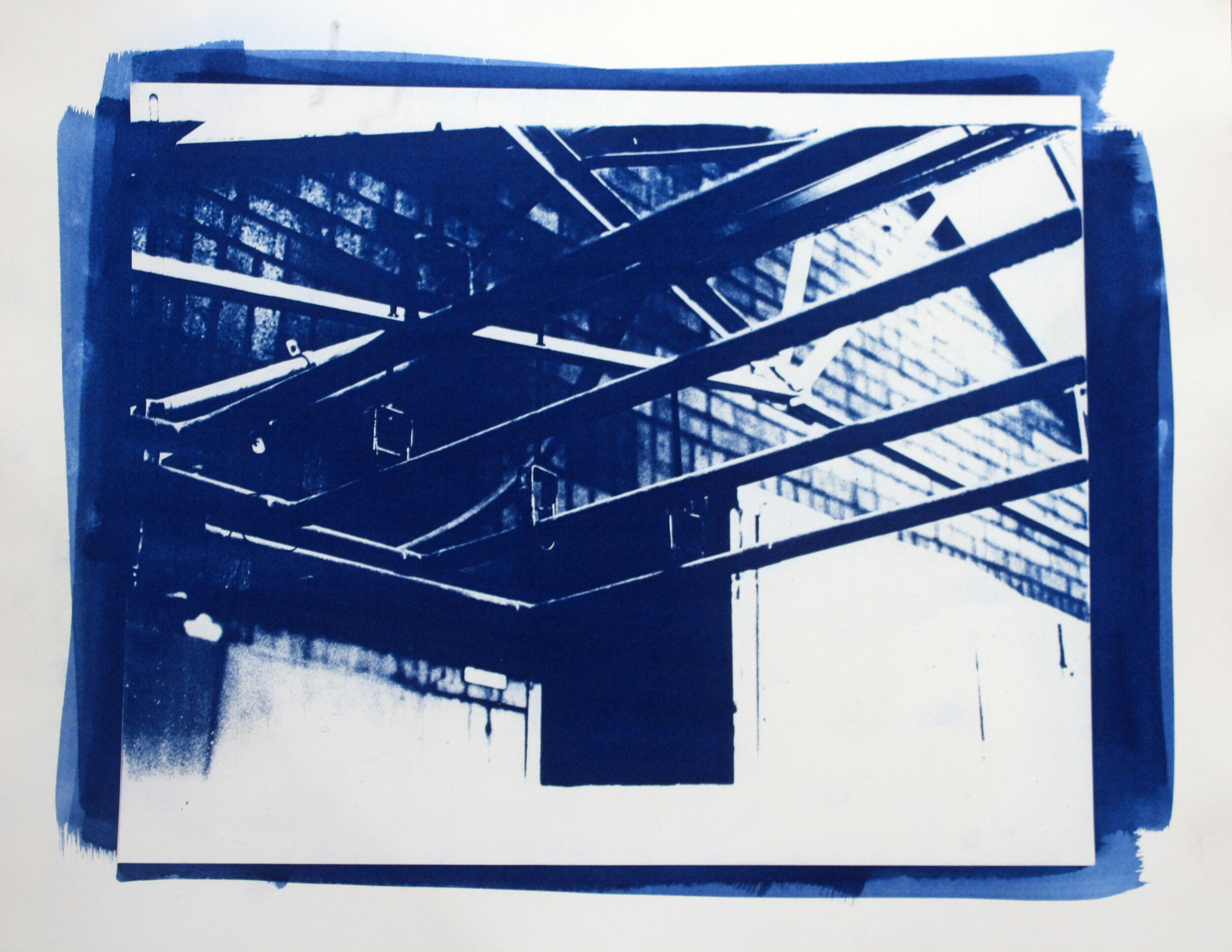 2018, Cyanotype, 8" x 10"