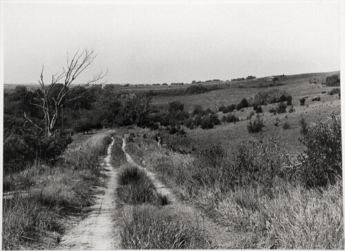 2018, Gelatin silver print