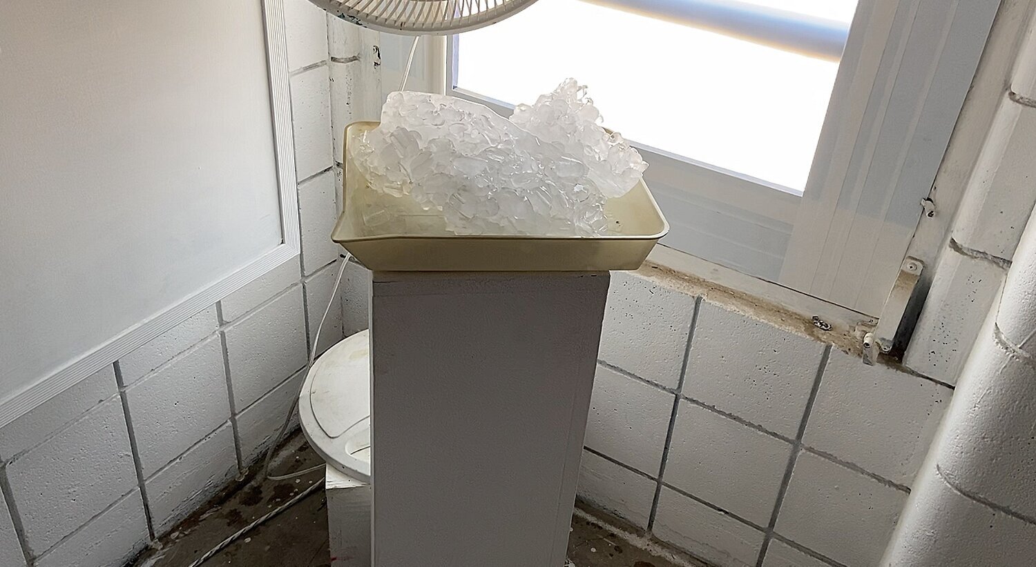 "Melting Tundra", October-September 2020, Installation CFA 171, Used water bottles, white rocks, fishing line, water, ice, fishing net, moss, cotton twine, fans, soil, twigs, acrylic