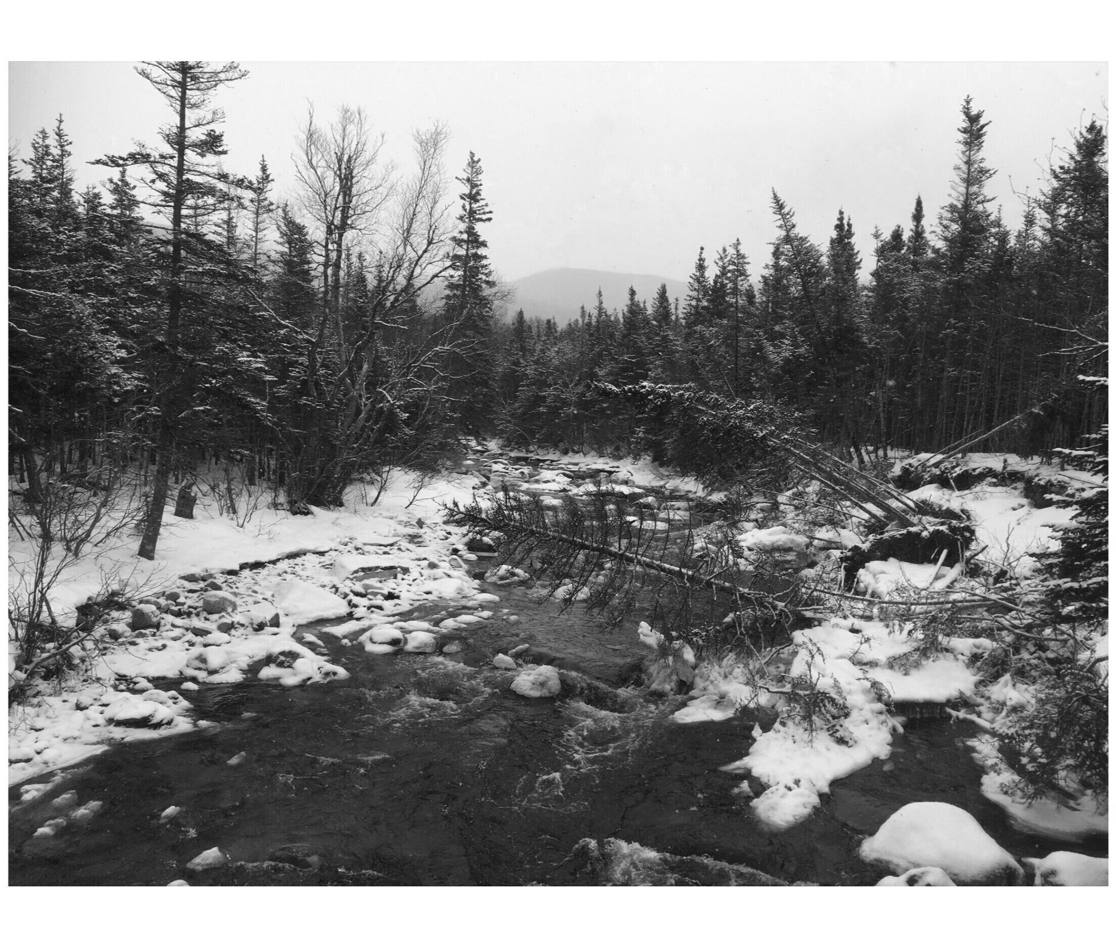 2019, Gelatin silver print