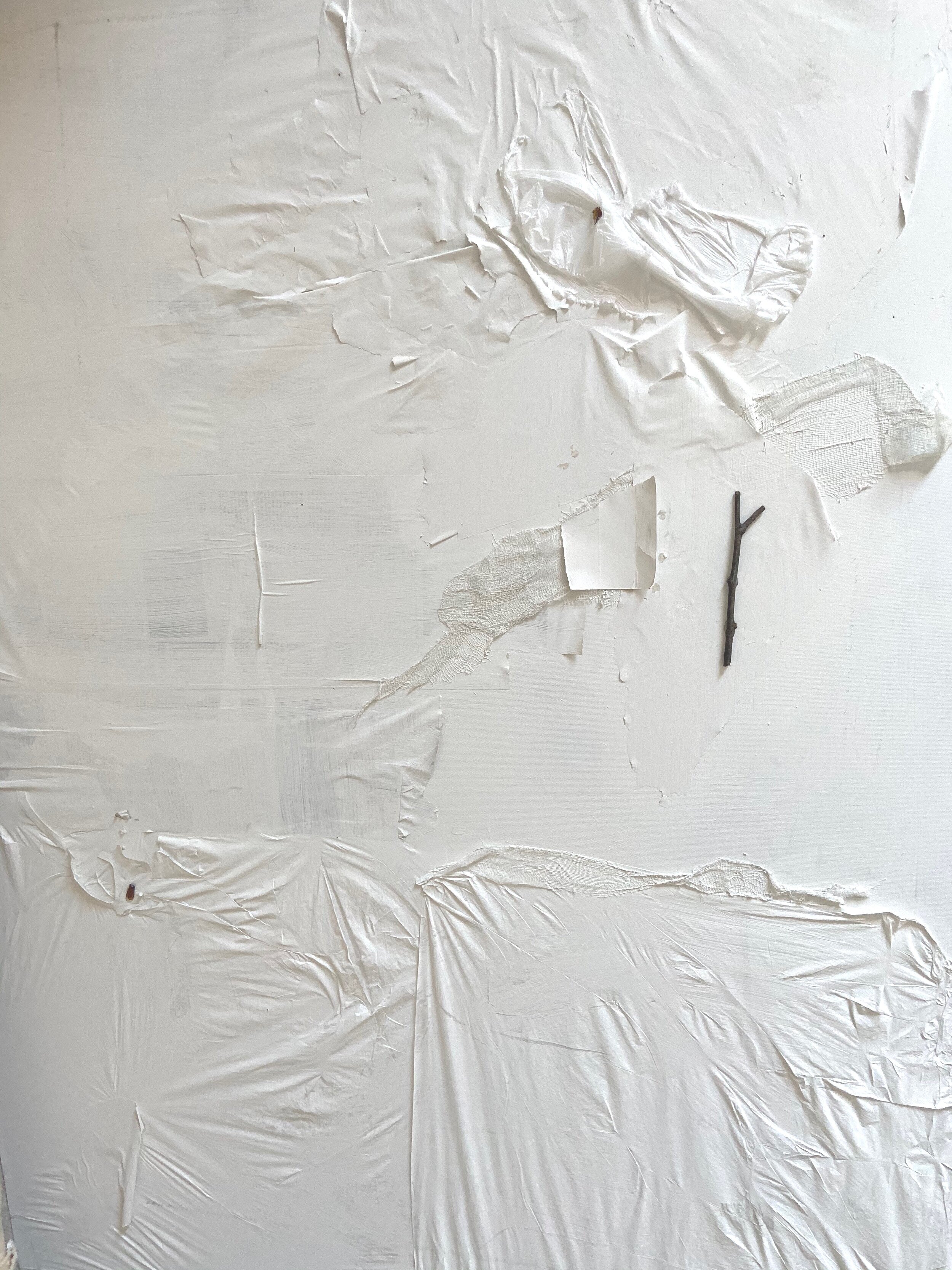 2020, Acrylic on canvas, litter, twig 42" x 54.5"