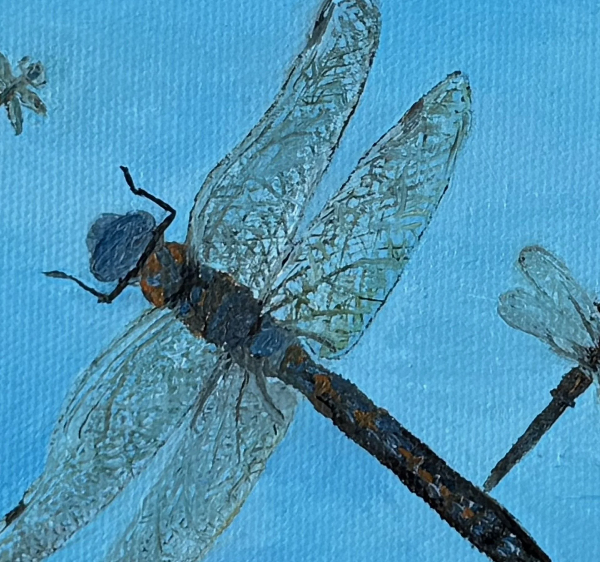 Welcome the Dragonflies
8"x10"  20 cm x 25 cm
Oils on Canvas
2025
detail