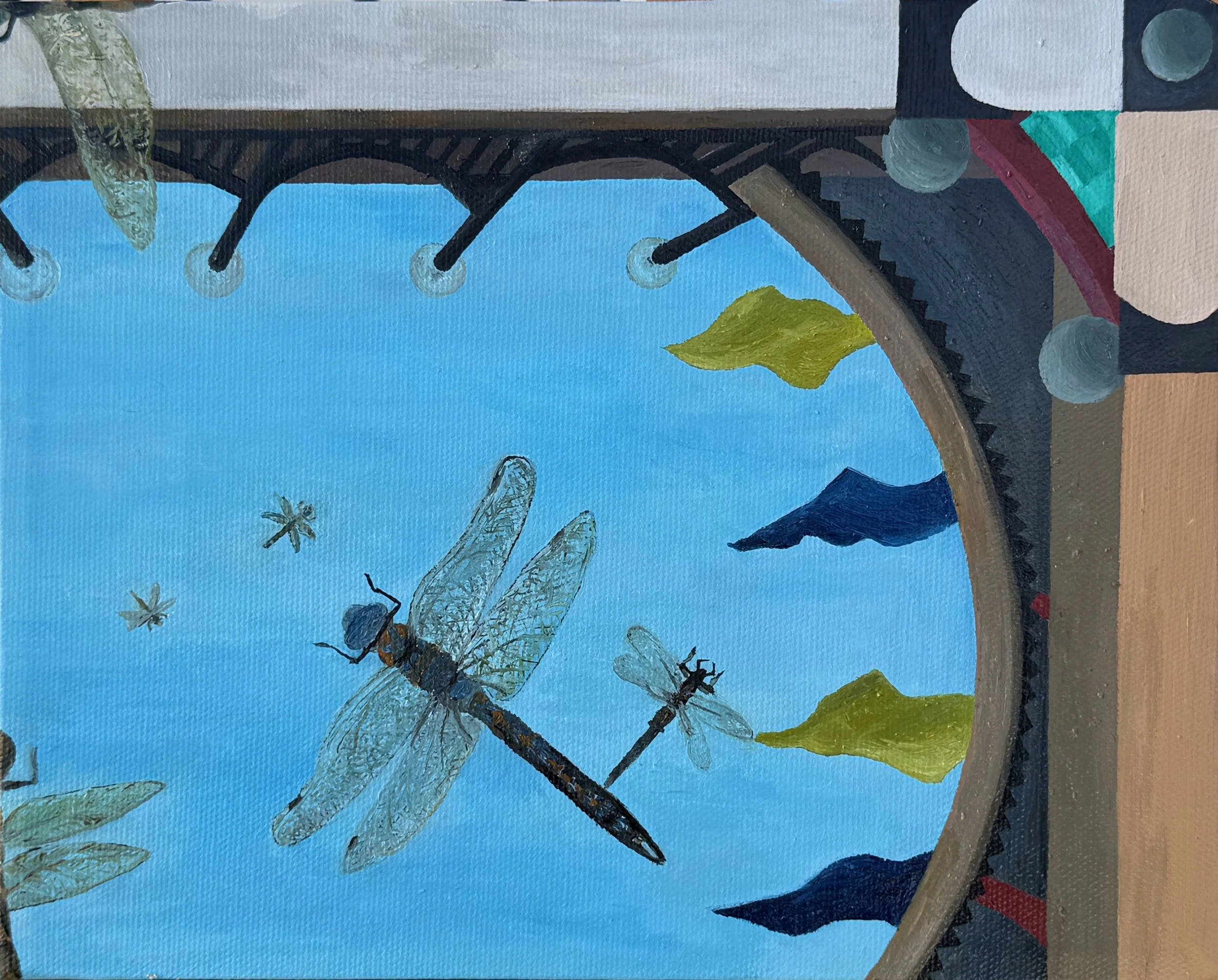 Welcome the Dragonflies
8"x10"   20 cm x 25 cm
Oils on Canvas
2025