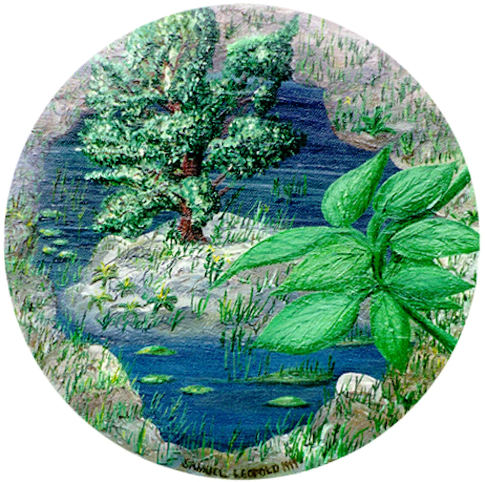 Round Rock
10" circle   25 cm circle
Oils on Canvas
1999