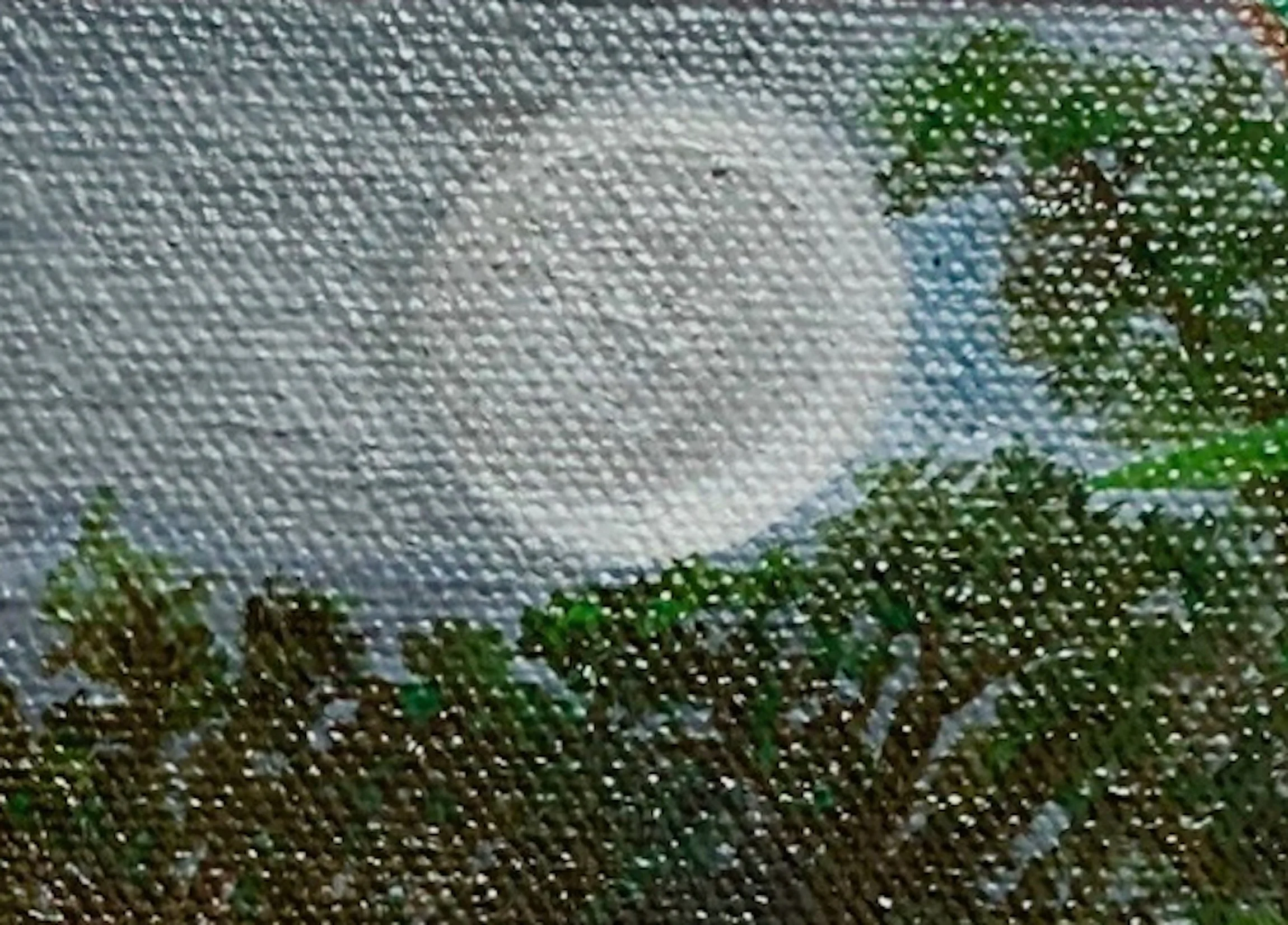 Moonlight
8"x10"   20.3 cm x 25.4 cm
Oils on Canvas
2023
Detail