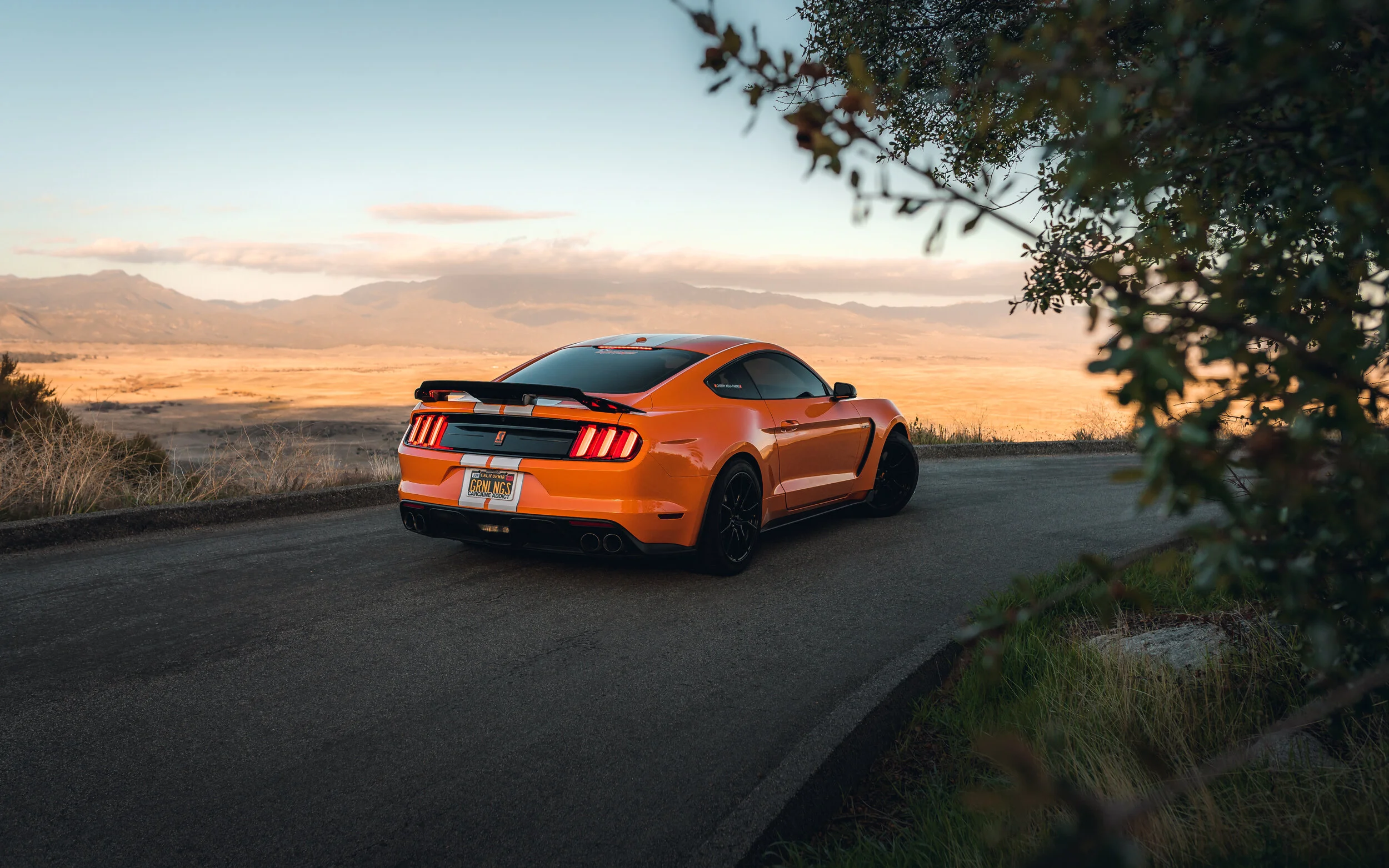 3-16-21 111-Edit.jpg