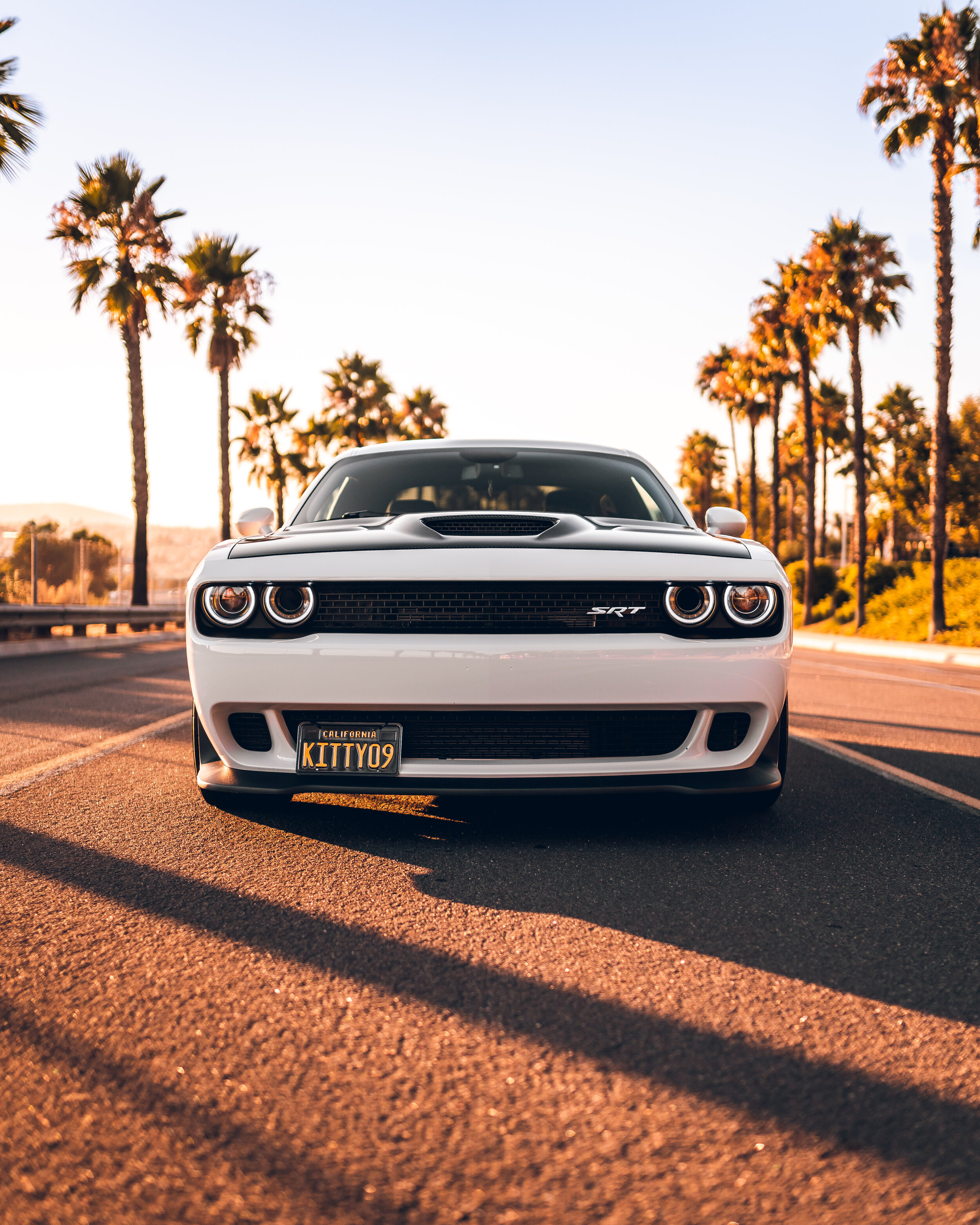 2020_08_03 061-Edit.jpg