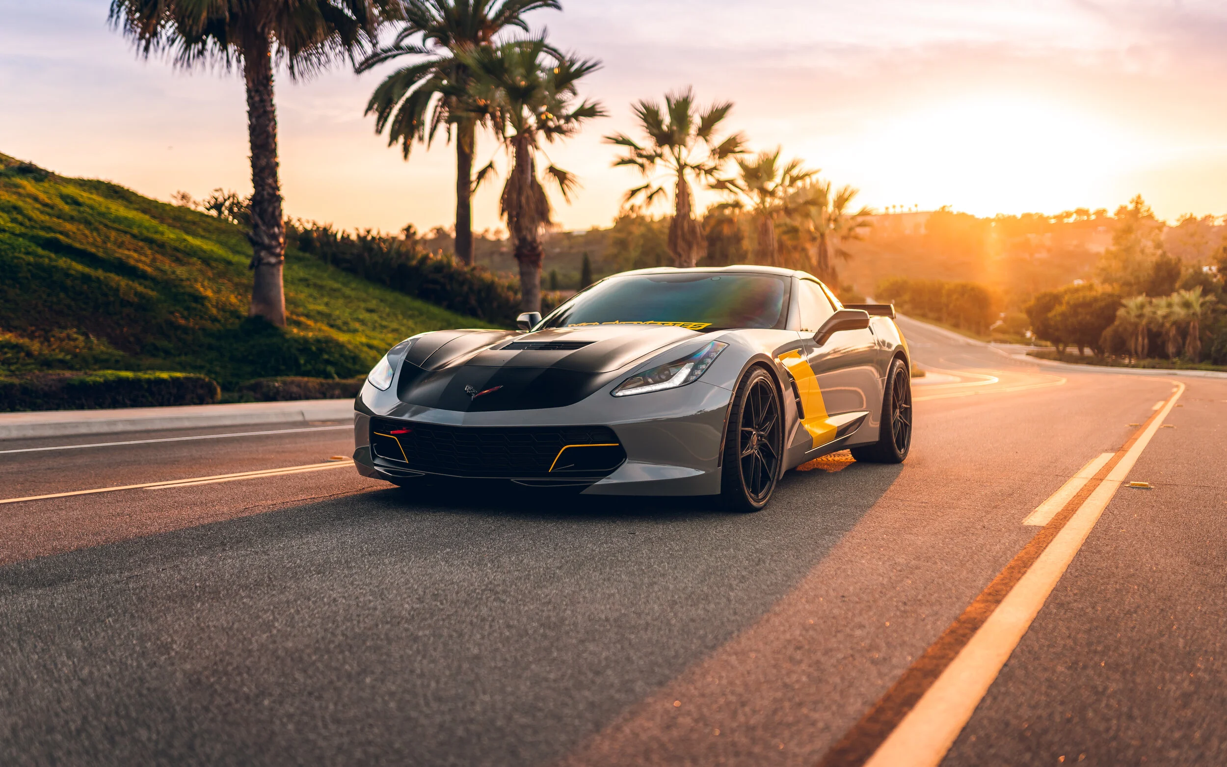 MJC07233-Edit.jpg