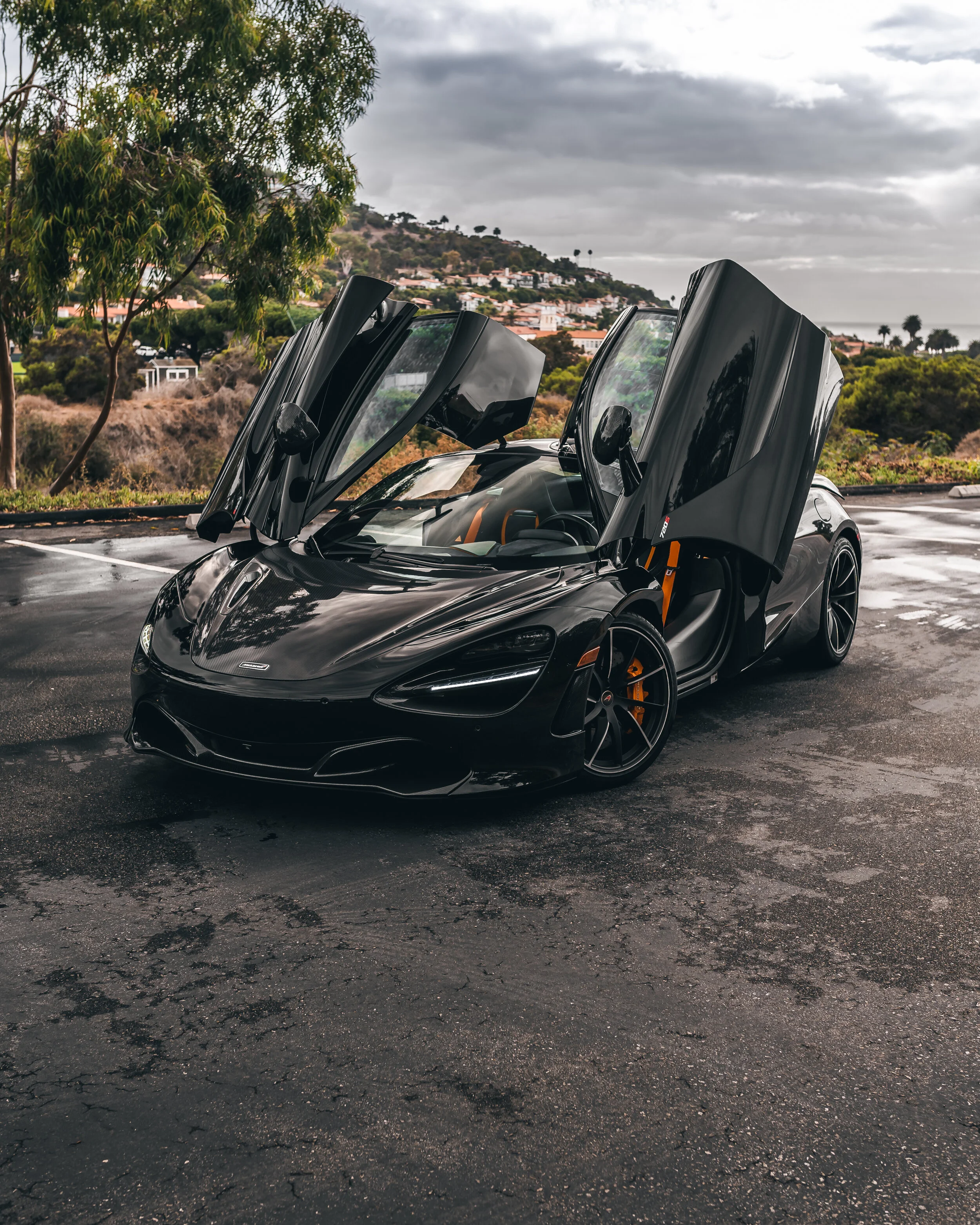 2020_10_25 082-Edit.jpg