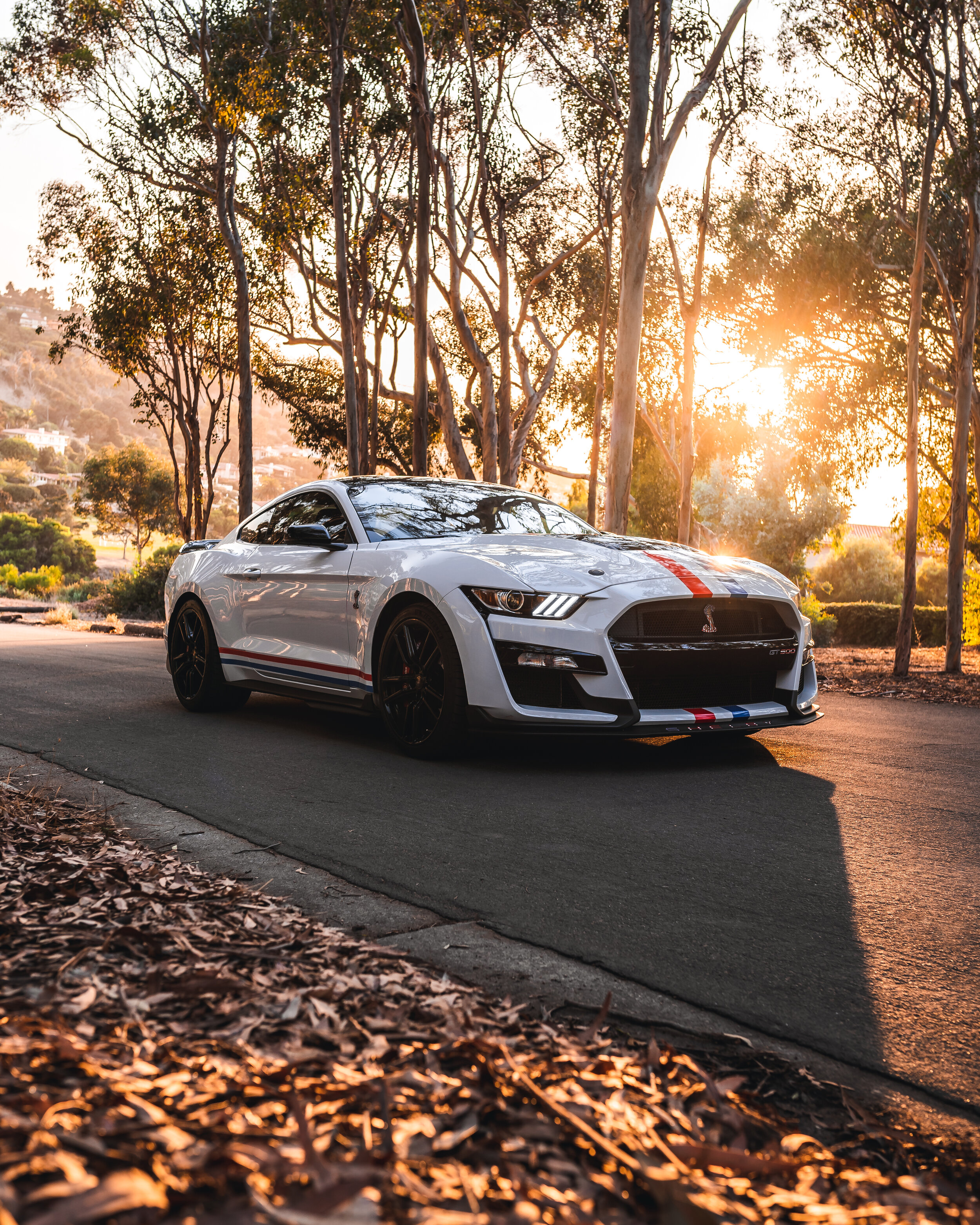 2020_10_26 241-Edit.jpg