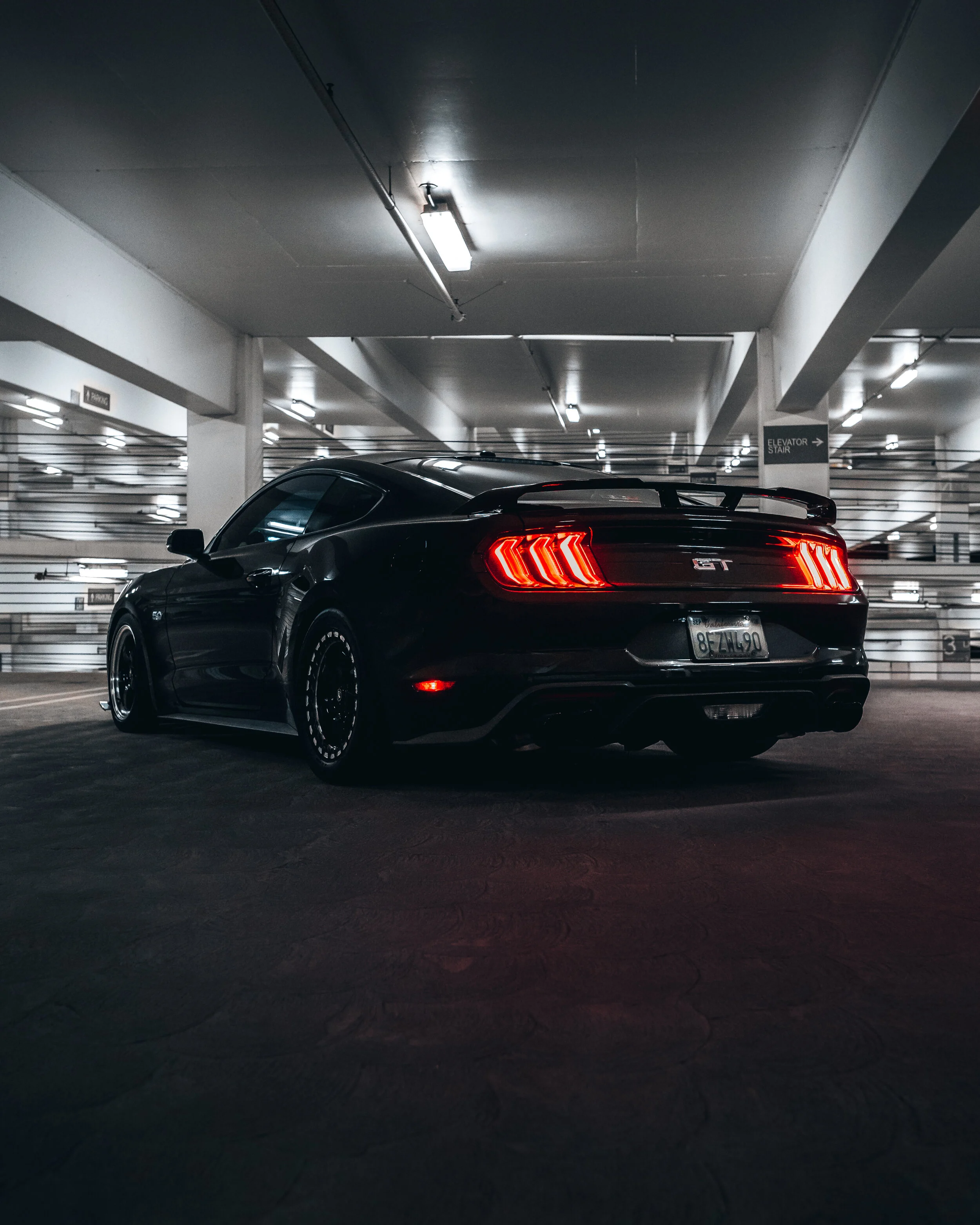 MJC01496-Edit.jpg