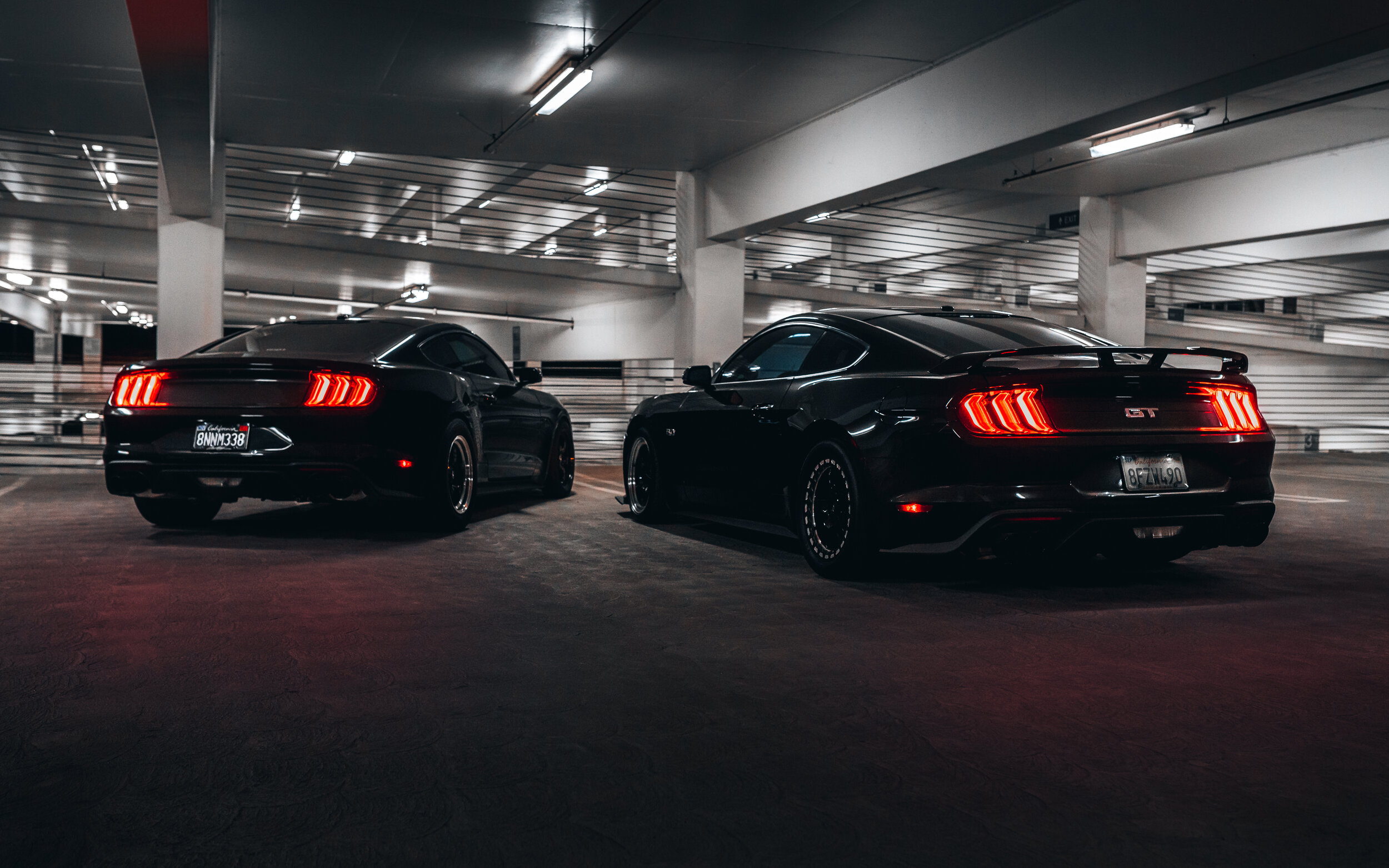 MJC01538-Edit.jpg