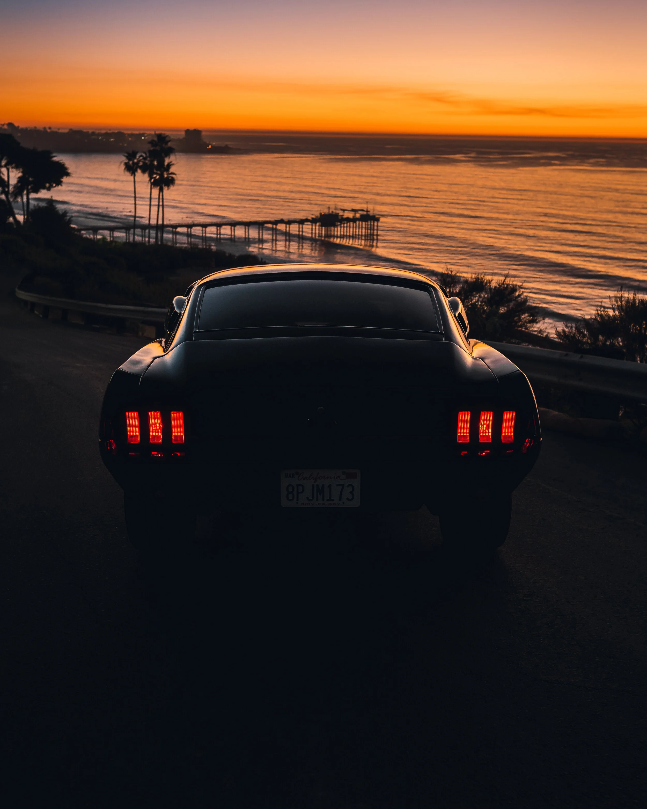 MJC04298-Edit.jpg