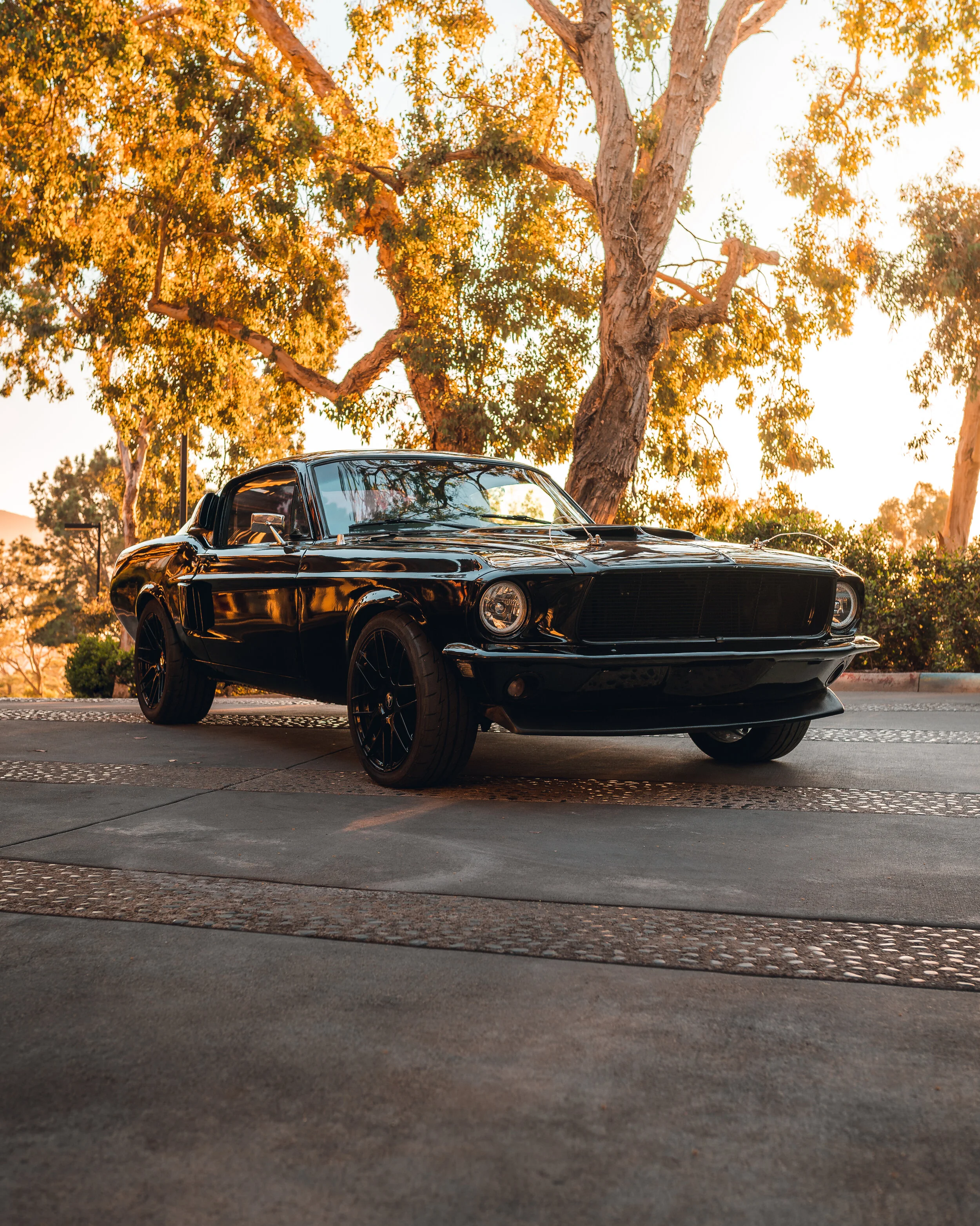 MJC03493-Edit.jpg