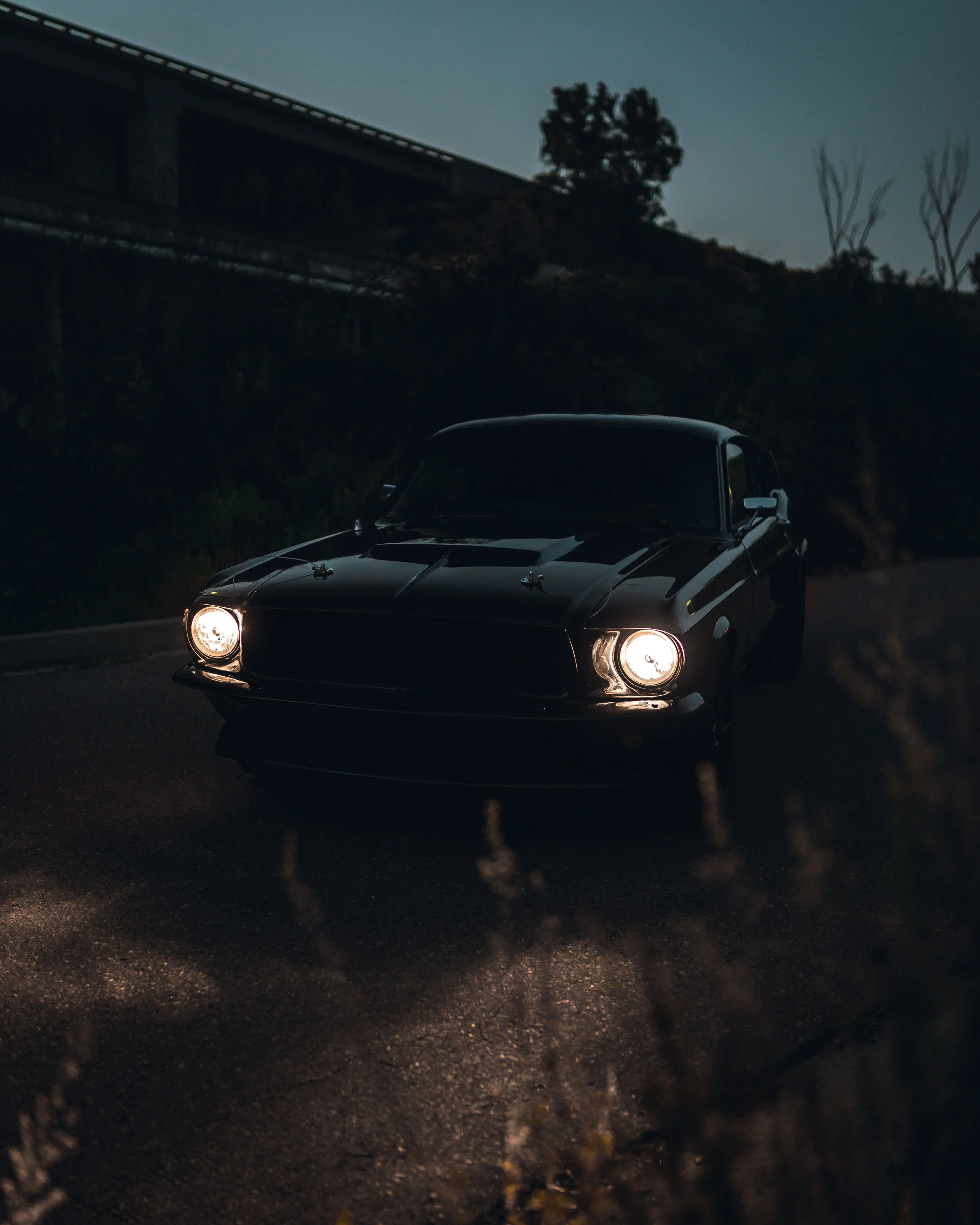 3-20-21 1087-Edit.jpg