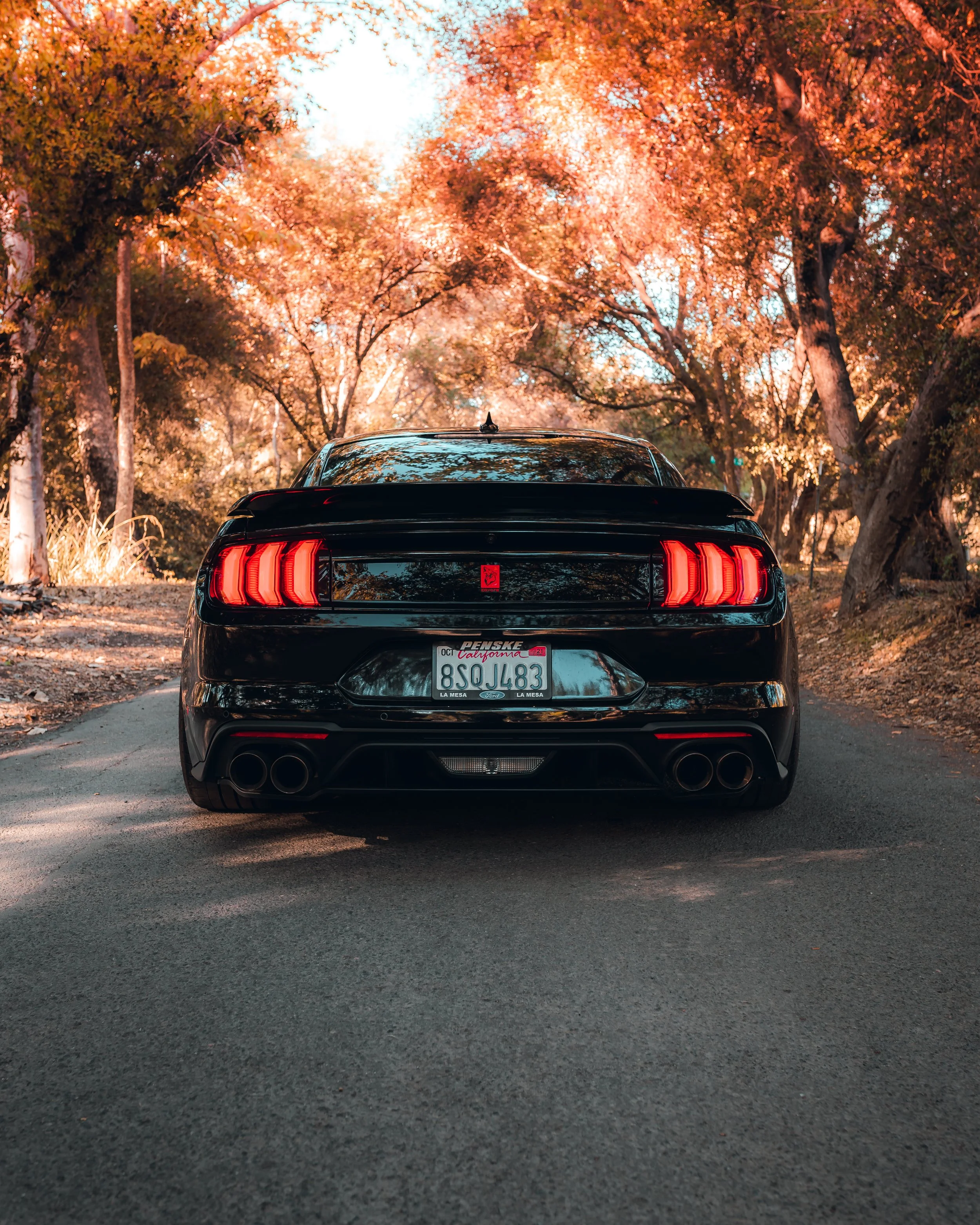 10-30-21 0919-Edit.jpg