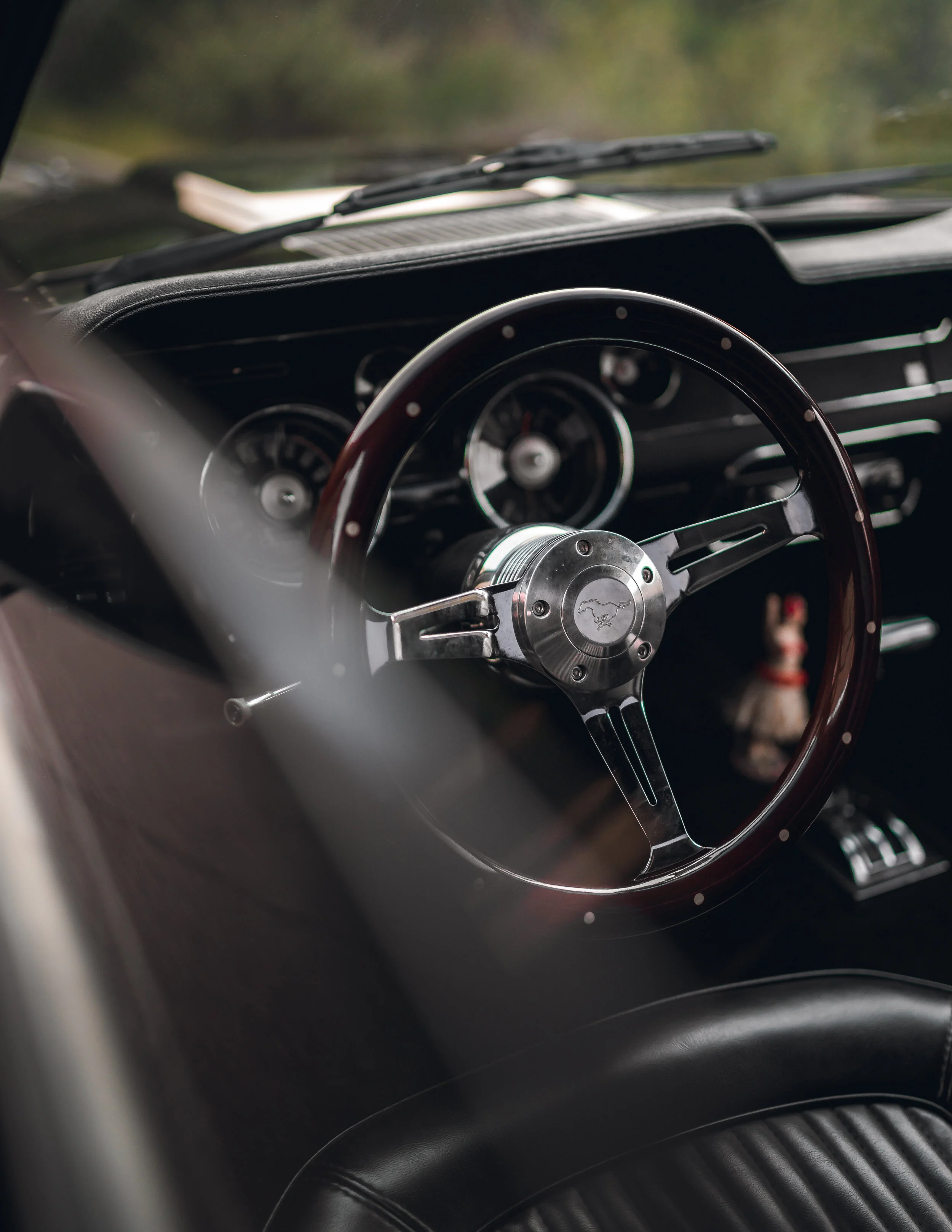 3-20-21 0772-Edit.jpg