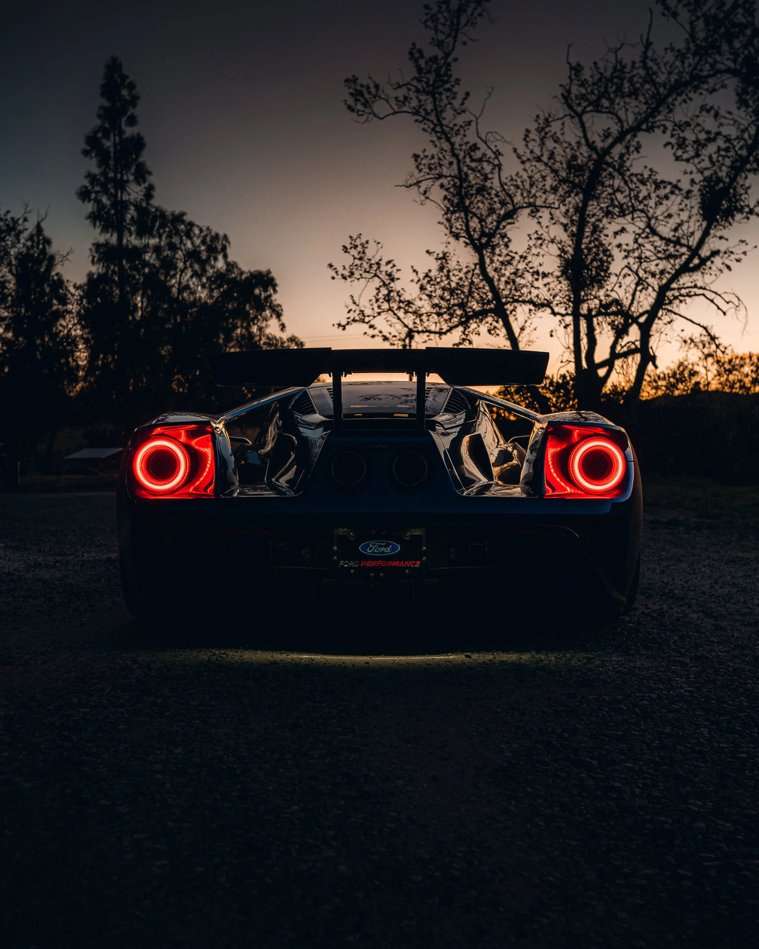 2-10-22 1383-Edit.jpg