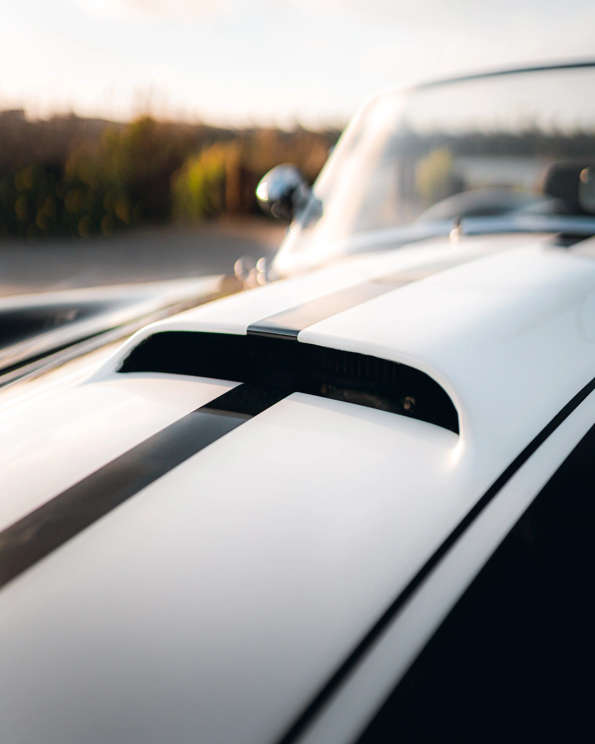 3-5-22 0253-Edit.jpg