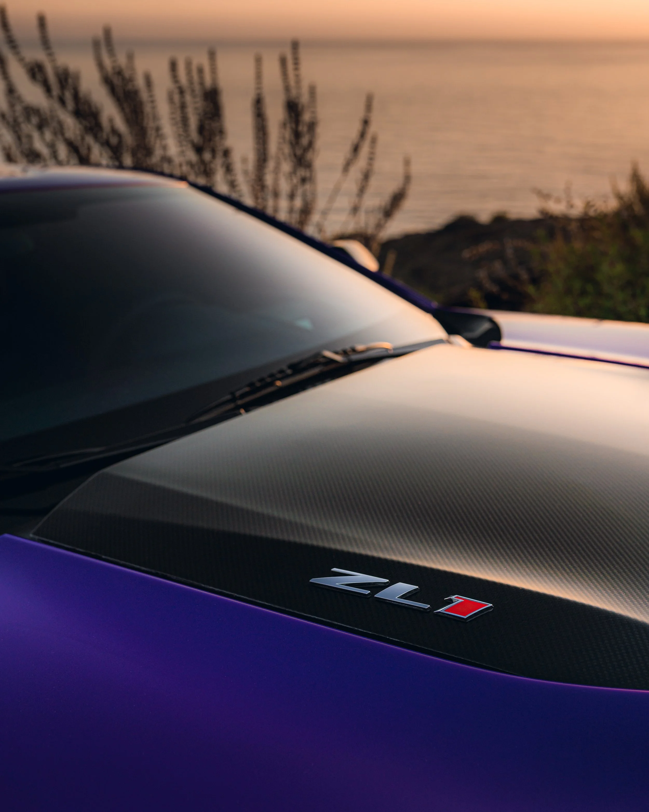 6-27-22 0849-Edit.jpg