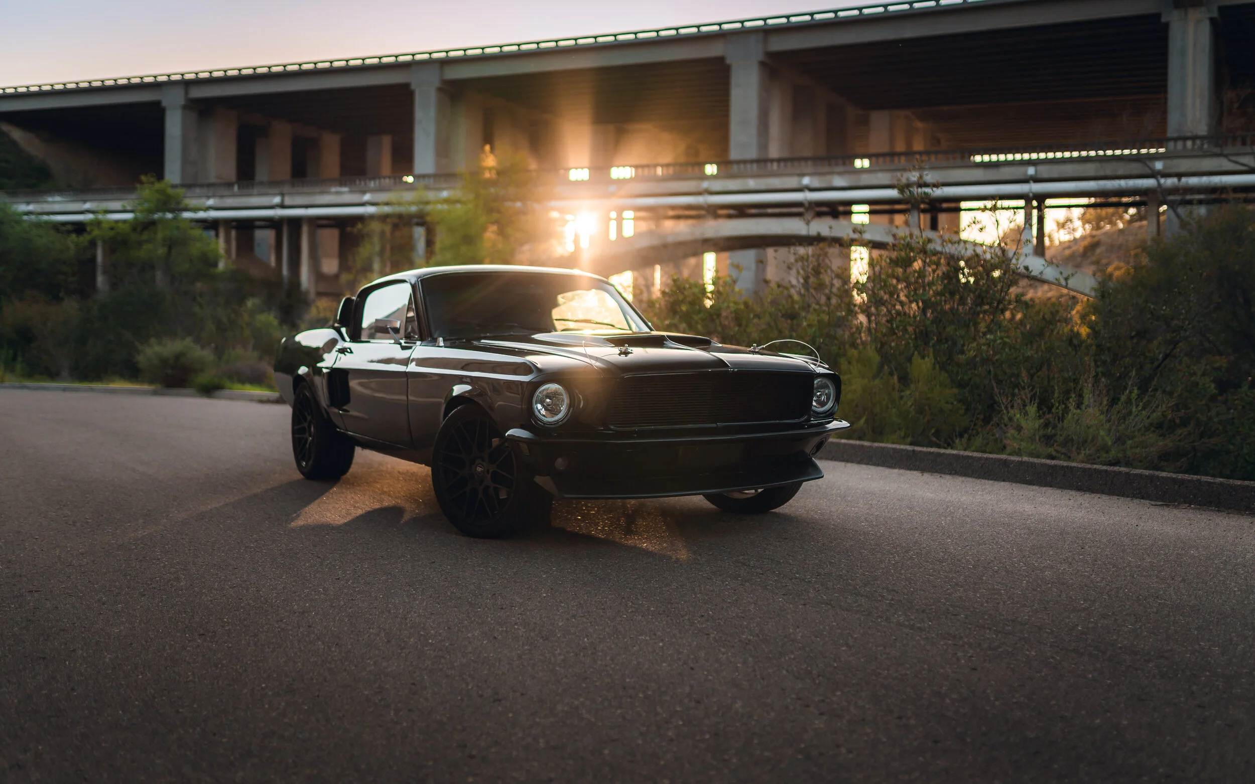 3-20-21 0405-Edit.jpg