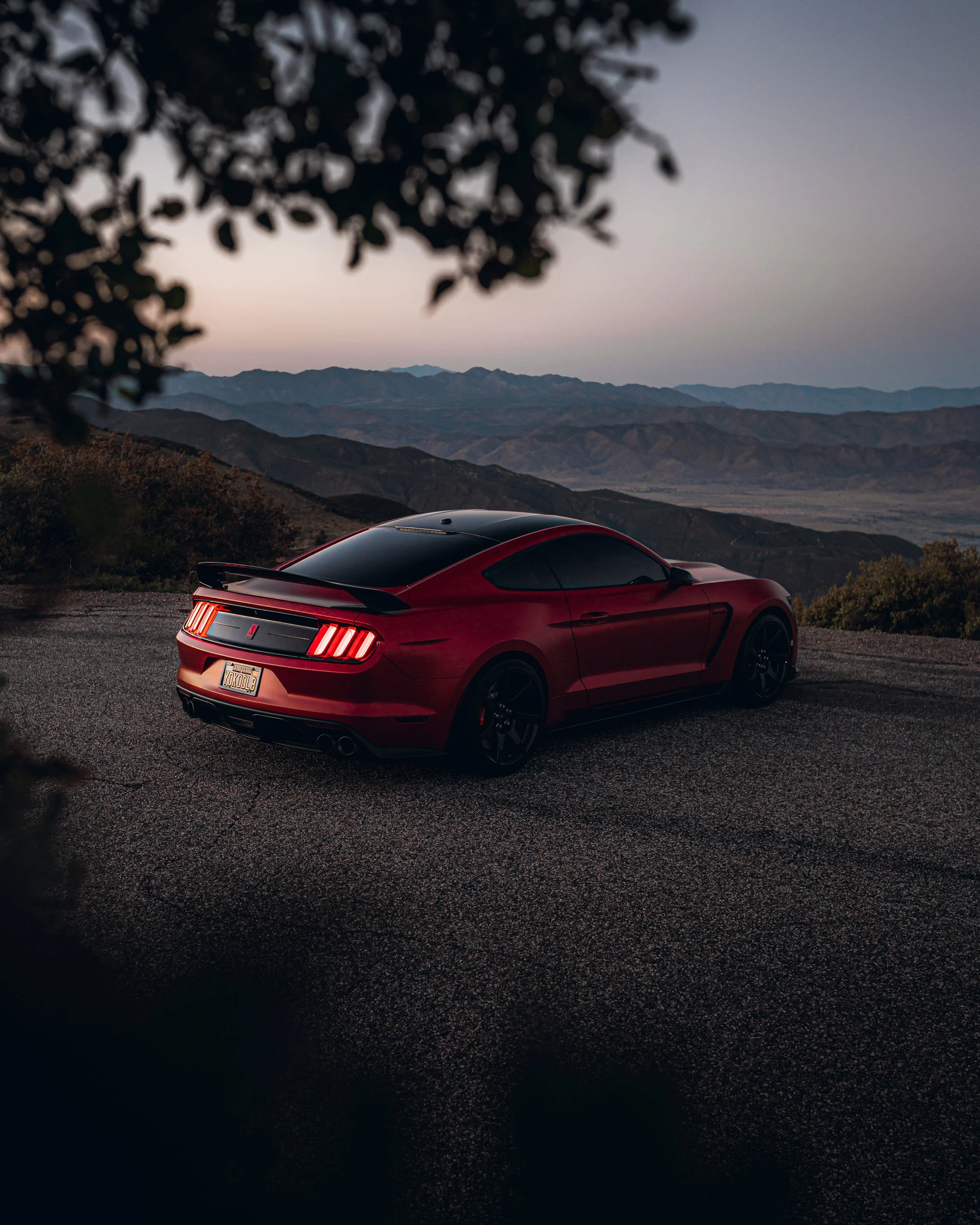 4-23-22 1571-Edit.jpg