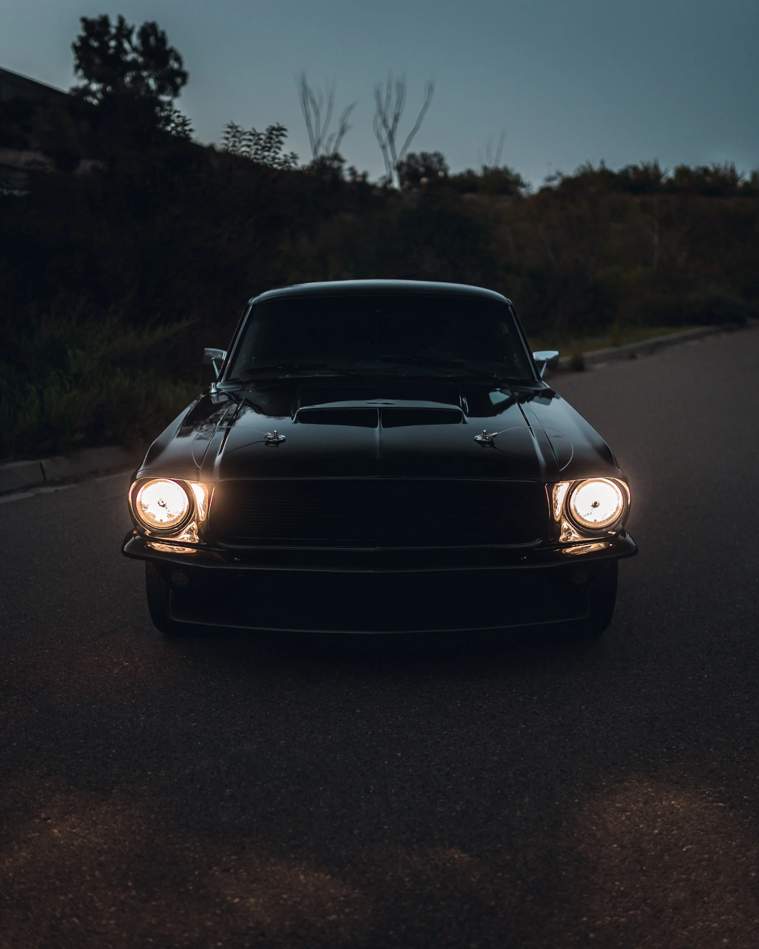 3-20-21 1033-Edit.jpg