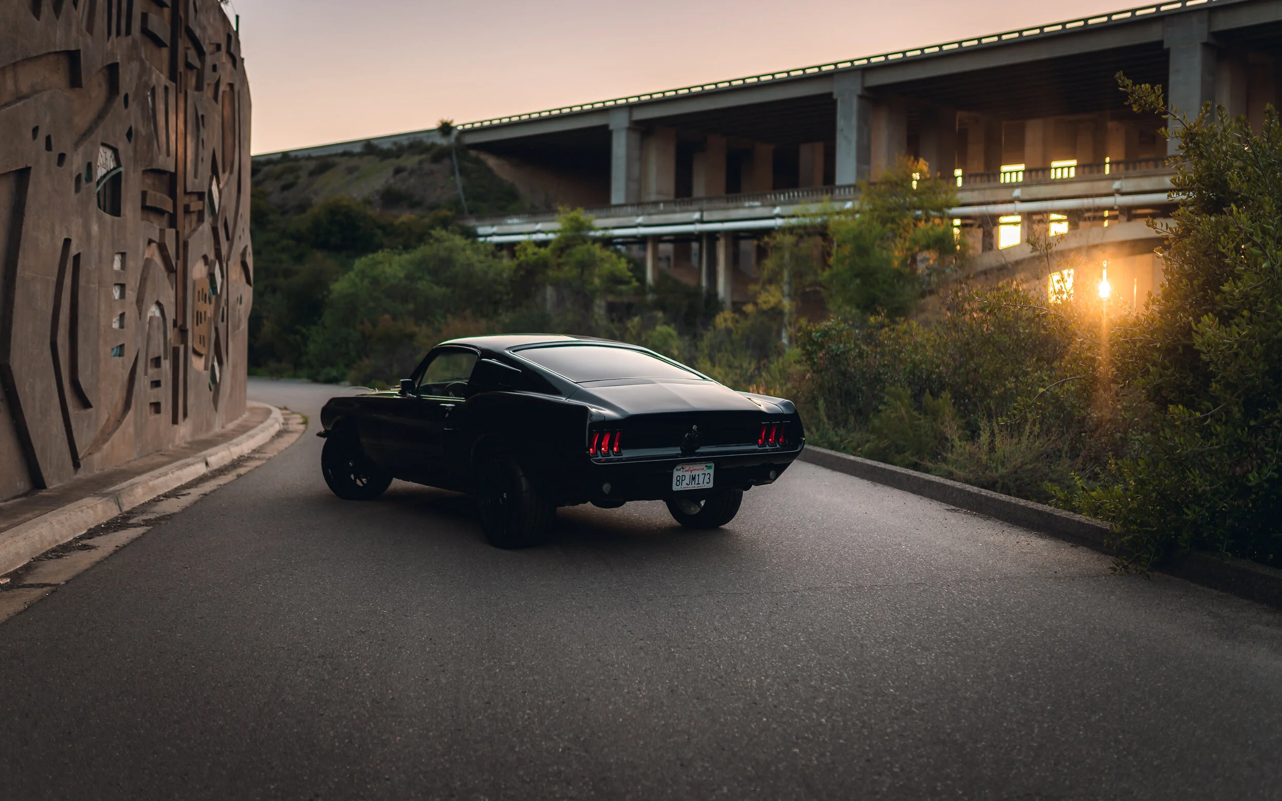 3-20-21 0560-Edit.jpg