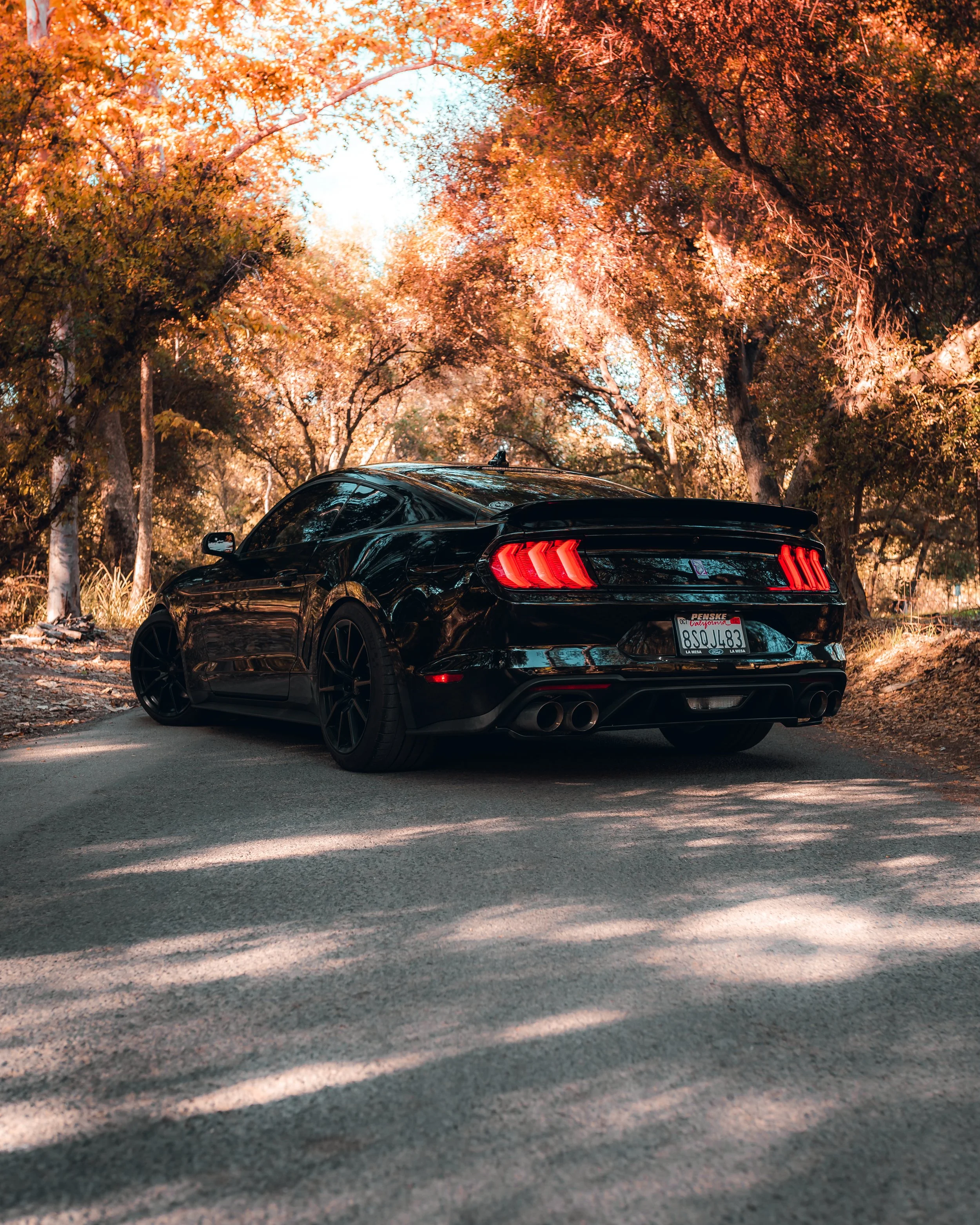 10-30-21 0854-Edit.jpg